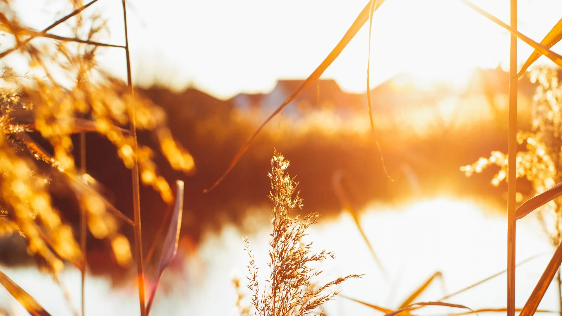 Weekend begint zonnig, later ook een winterse bui mogelijk