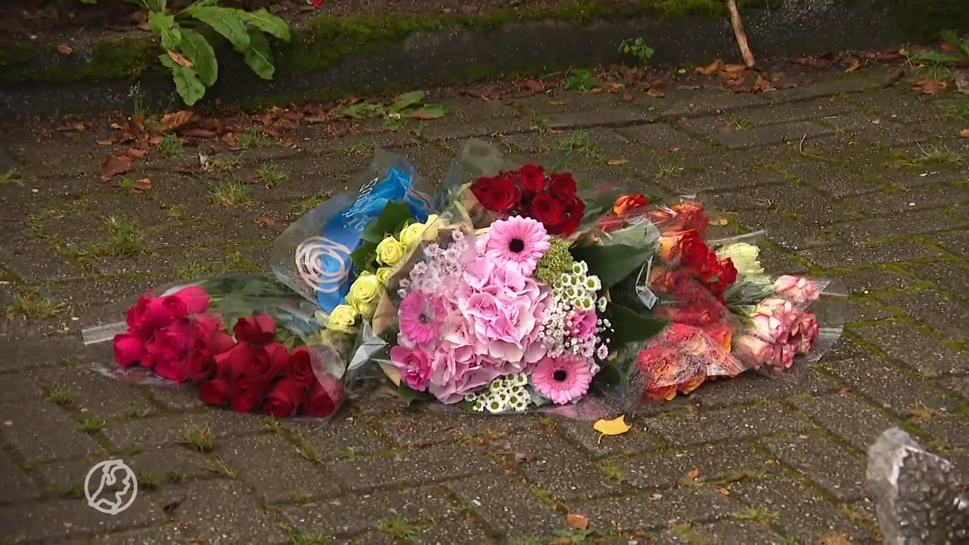 Verslagenheid in Rozenburg om tweede dodelijke slachtoffer van steekpartij in jaar tijd