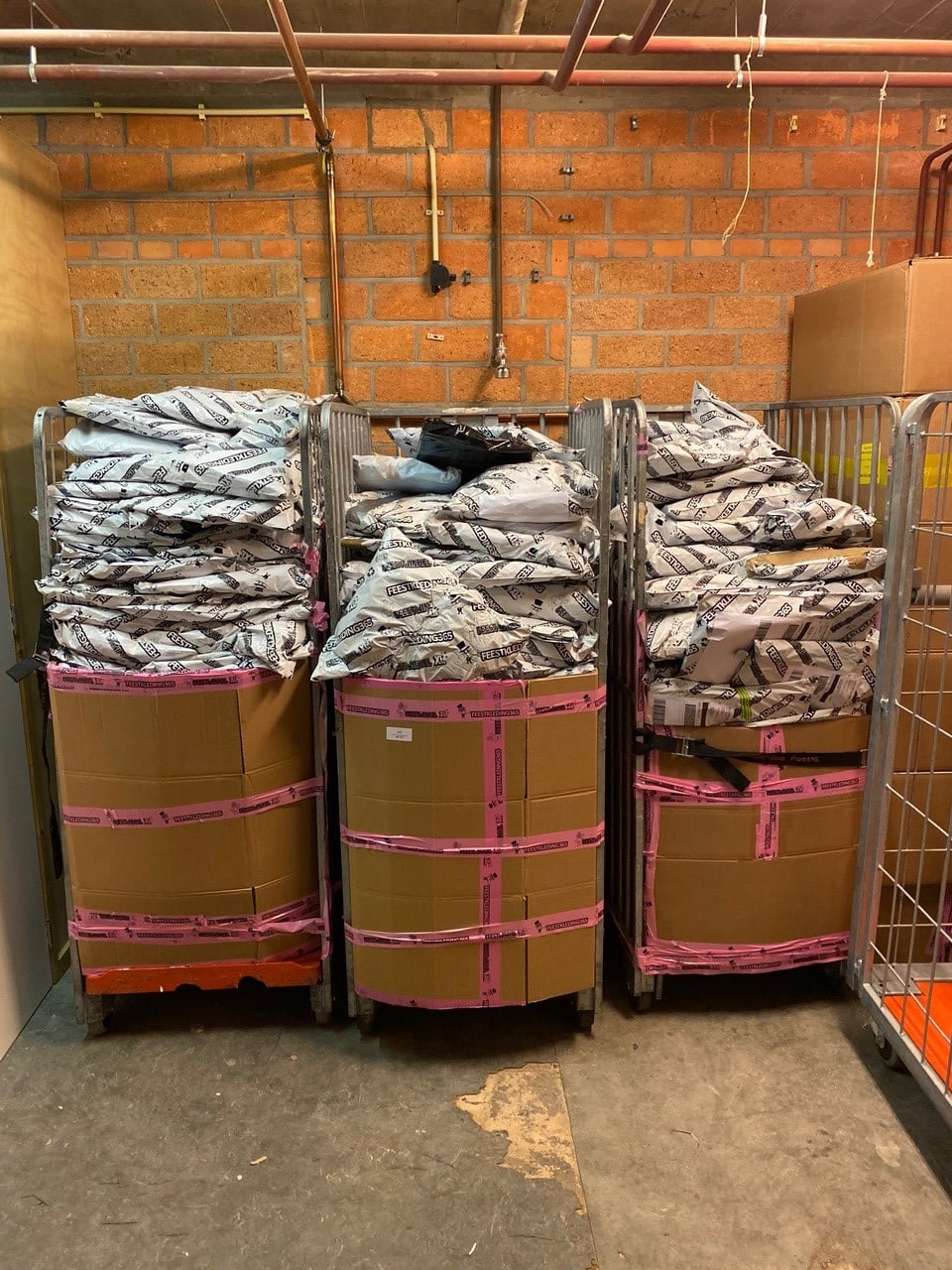 Carnavalskleding massaal teruggestuurd door slecht weer, ‘maar in sommige kostuums is tóch gecarnavald’