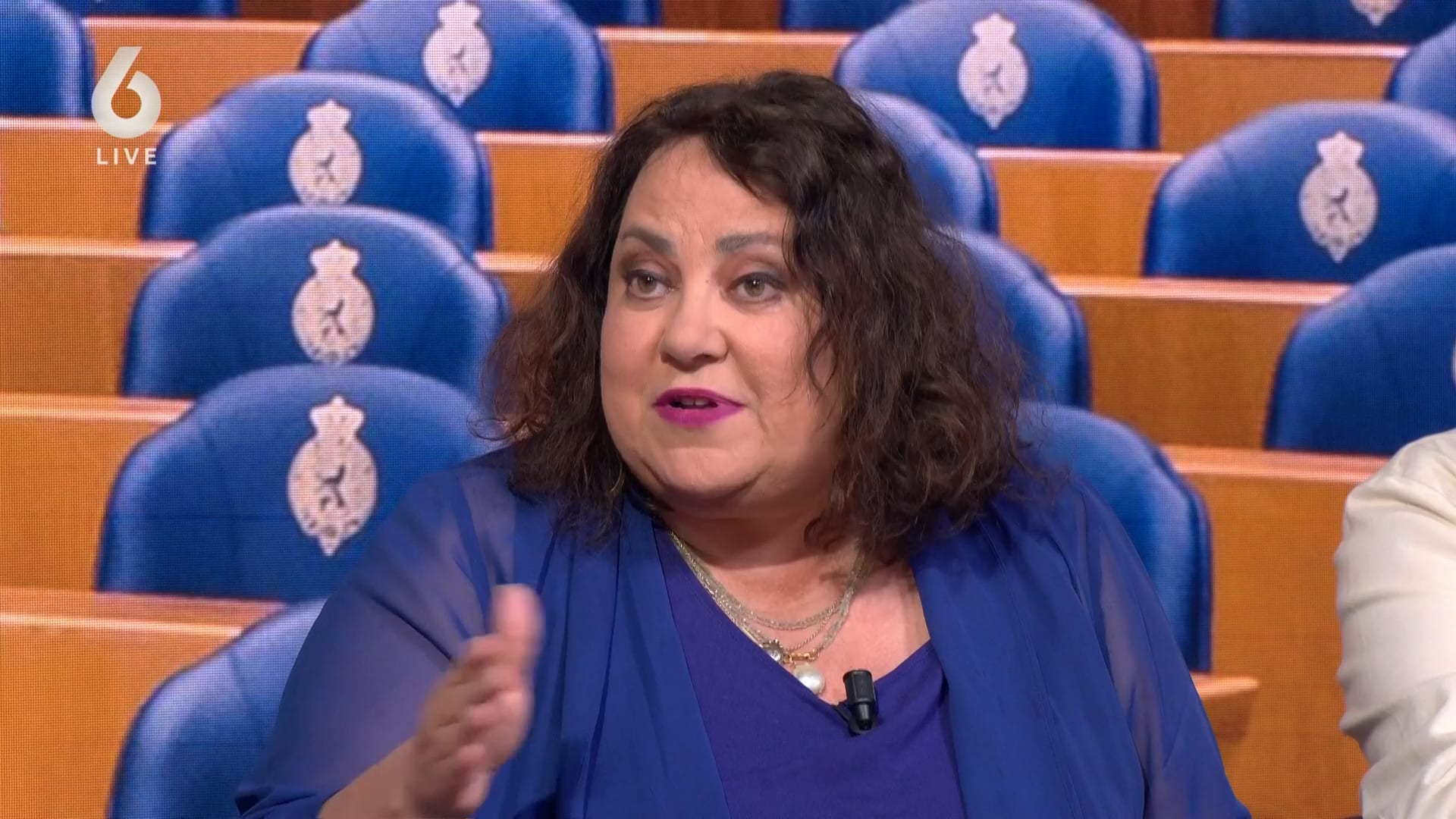 'Veel van GroenLinks-PvdA zijn radicalen die geweld niet schuwen'