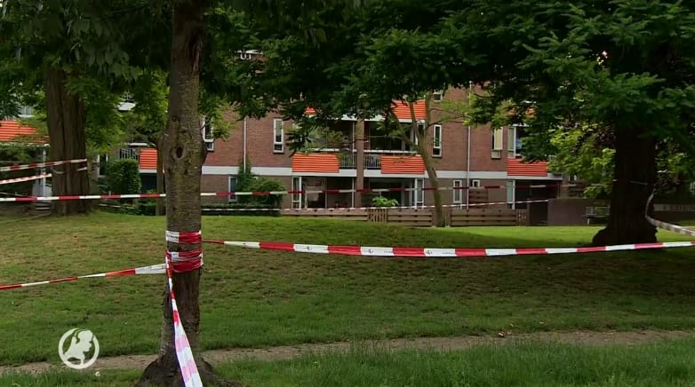 Acht jaar cel en tbs voor doodsteken Esther (29) in Neede