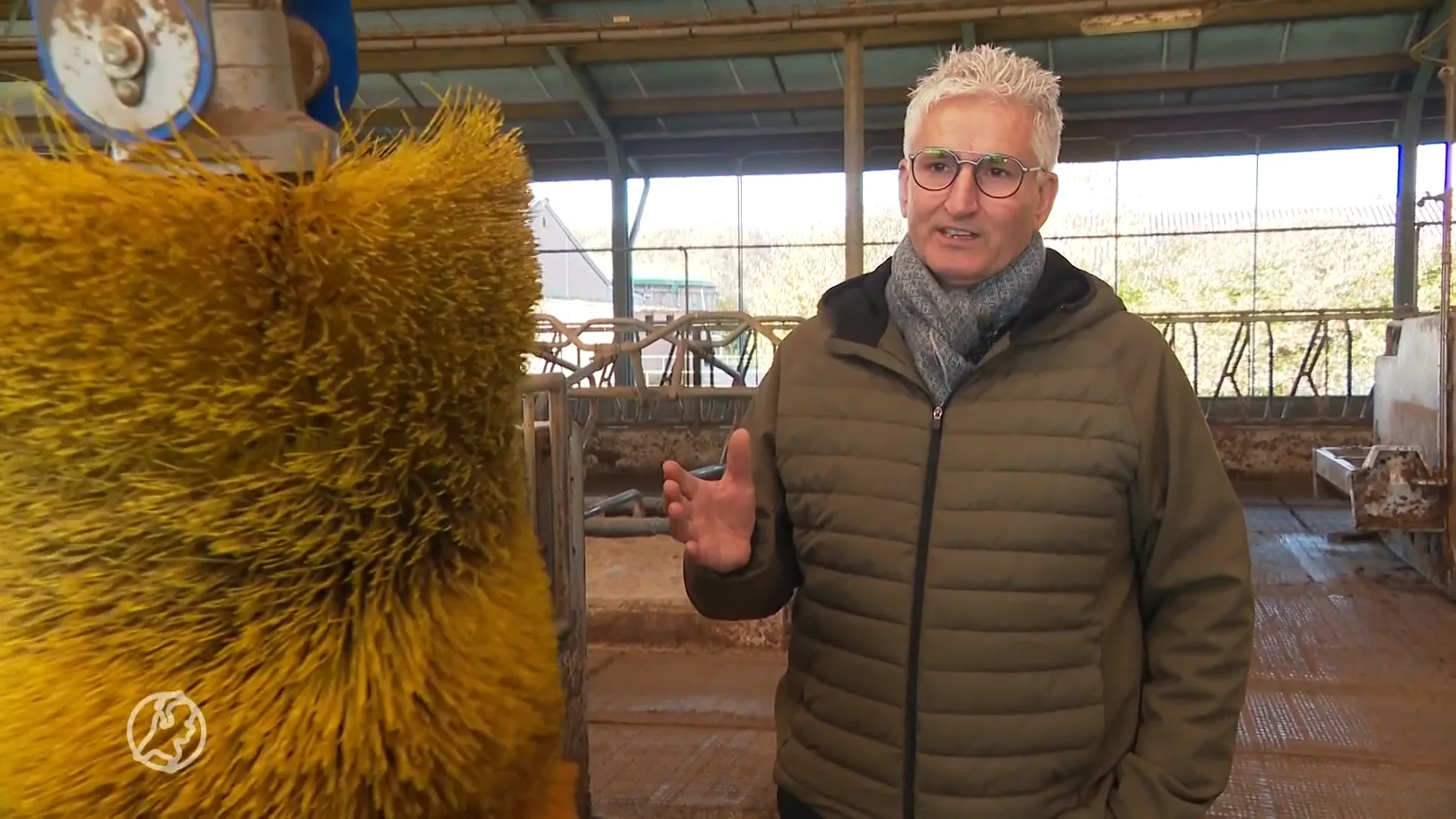 Het is stil in de stal van boer Gert na uitkoop: 'Maar wel veel vrijheid terug'