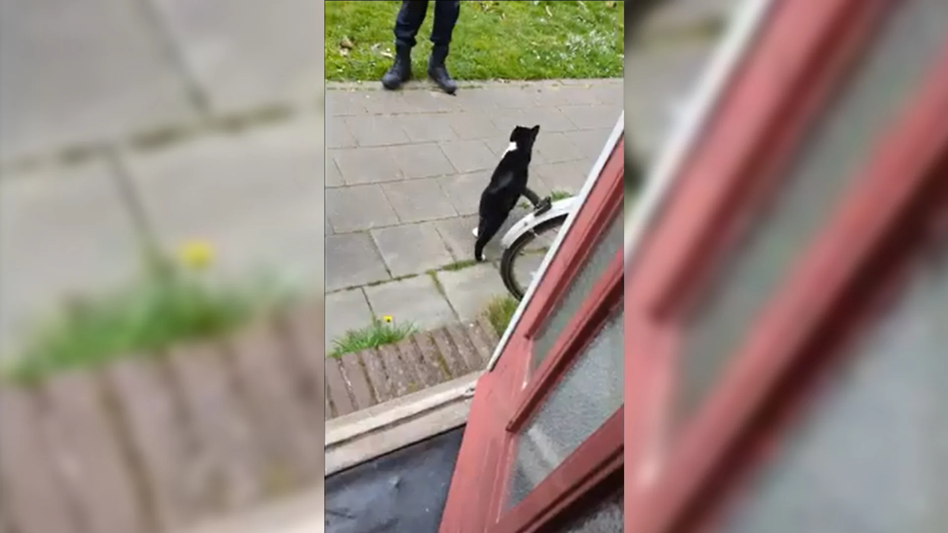 Politie bezoekt activist thuis, maar 'had nooit op deze manier mogen gebeuren'