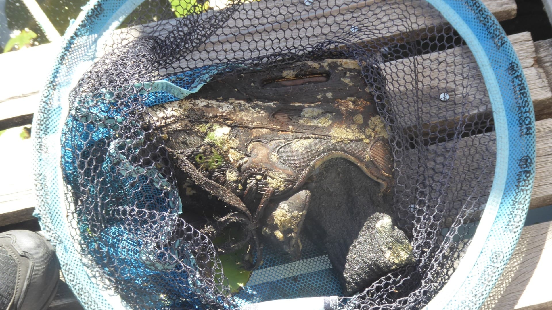 Ria (73) vond ledemaat in water in Vlaardingen: 'Beduusd van' 