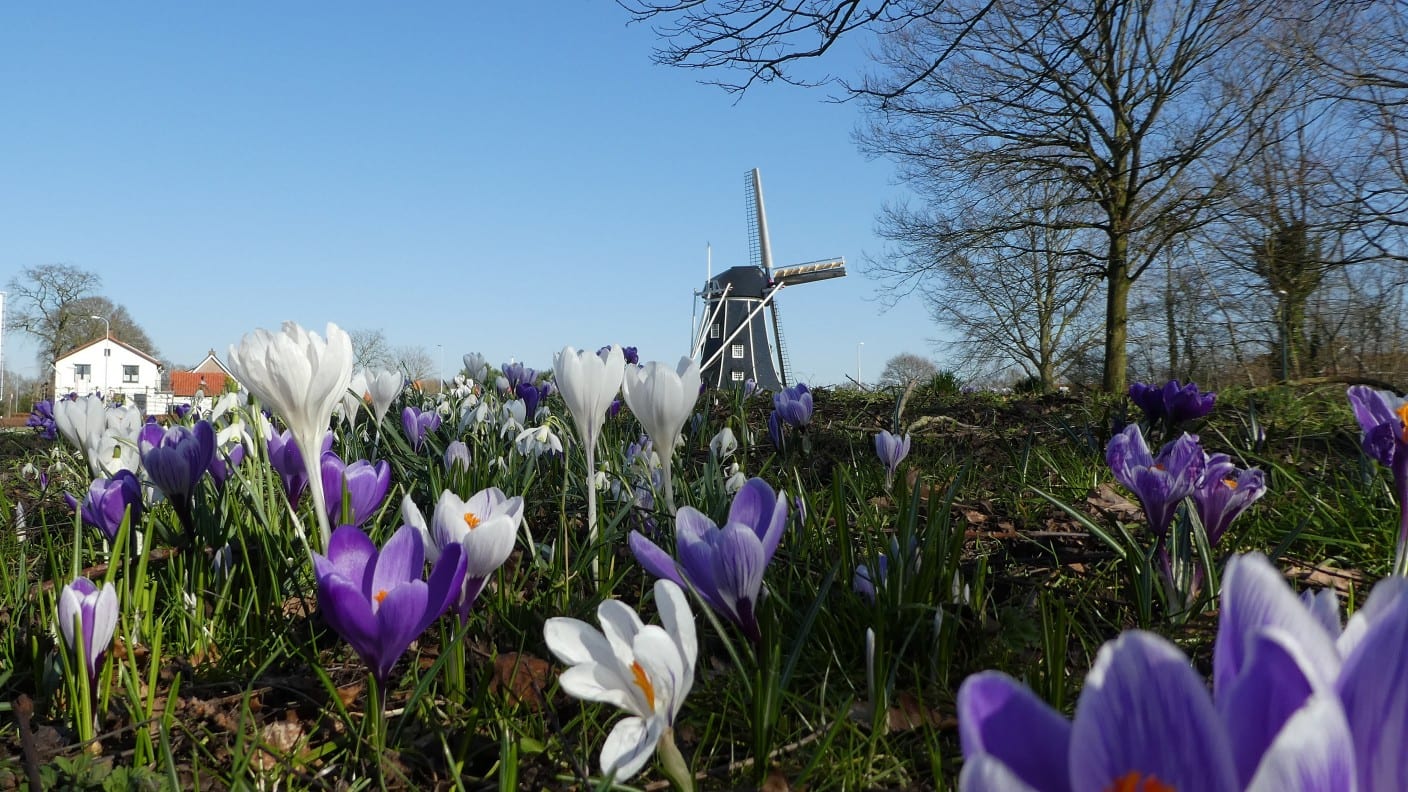 Dit wordt het weer op Moederdag (misschien wel zonnigste ooit)