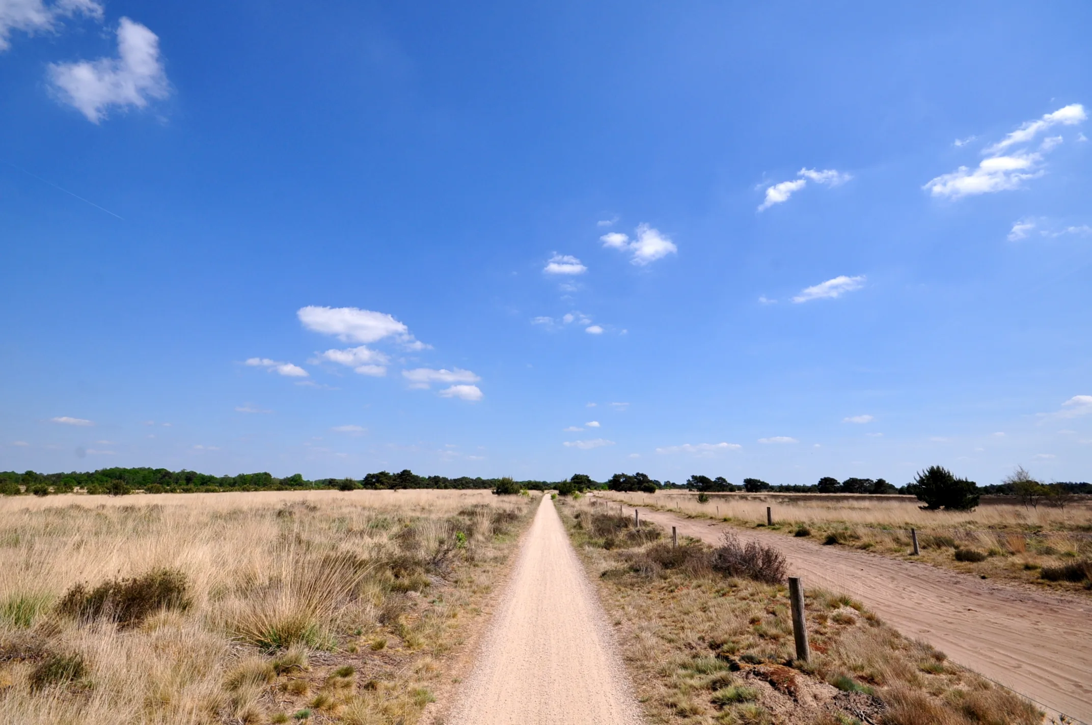 Zomerse woensdag op komst, donderdag onweersbuien