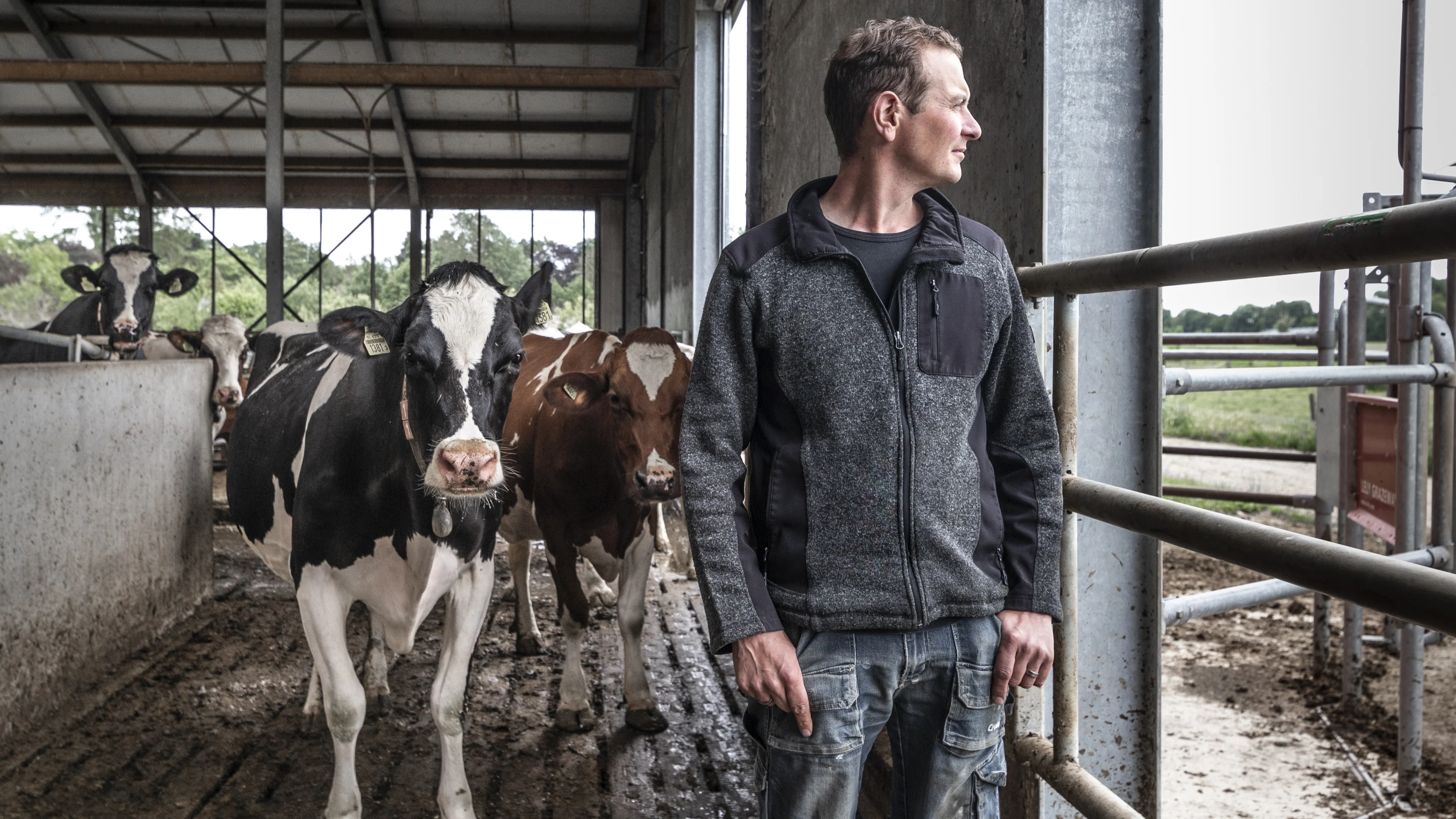 Concept landbouwakkoord: duurzamer voedsel, meer geld voor boeren