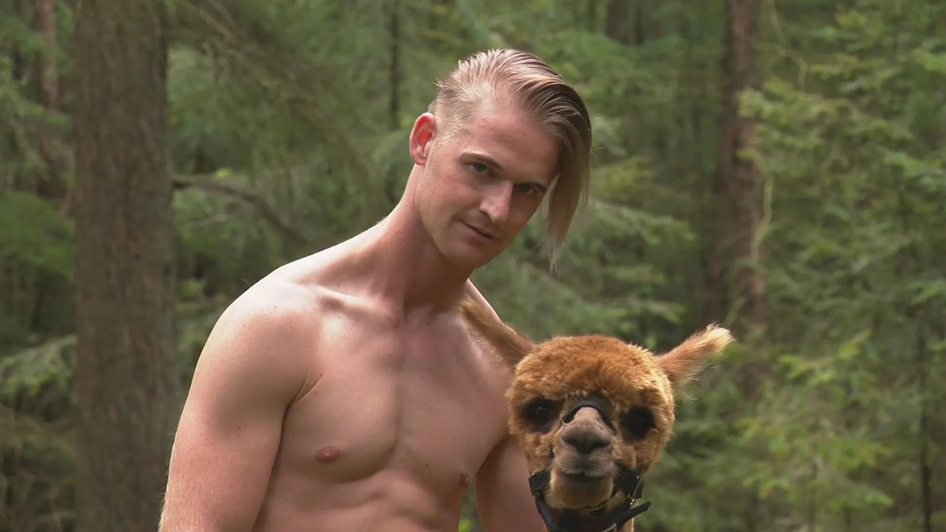 Een jaarkalender met hete halfnaakte hunks en... alpaca's?!