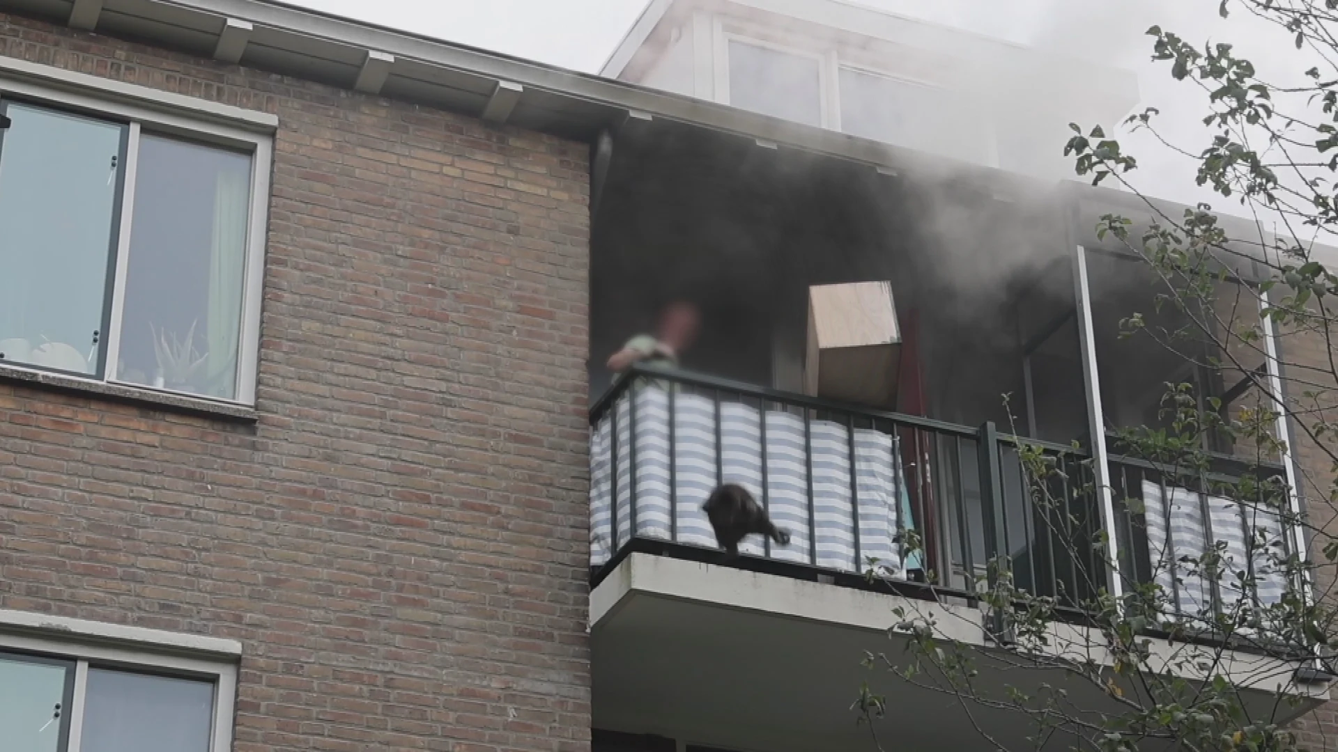 Man gooit kat van balkon bij woningbrand en slaat brandweerman