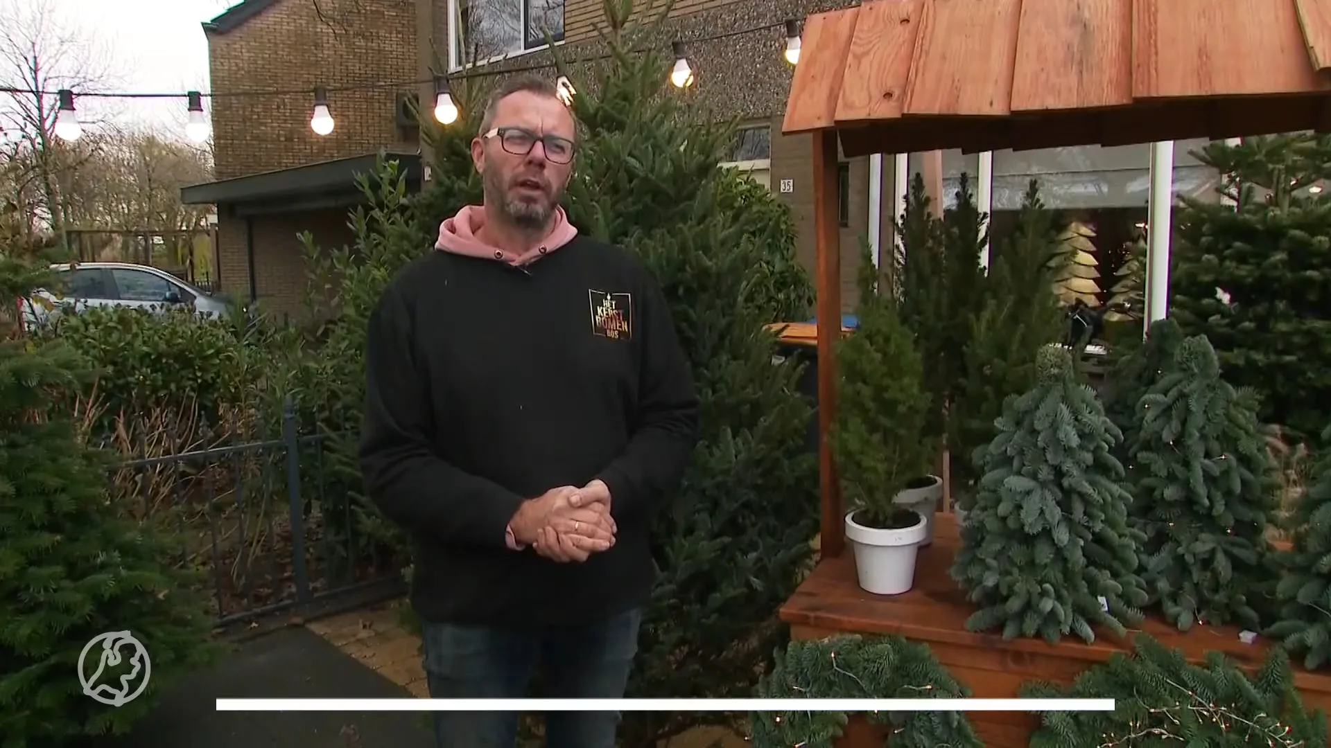 Kerstboom is wapen tegen winterdip: Nederlanders kopen 'm steeds eerder