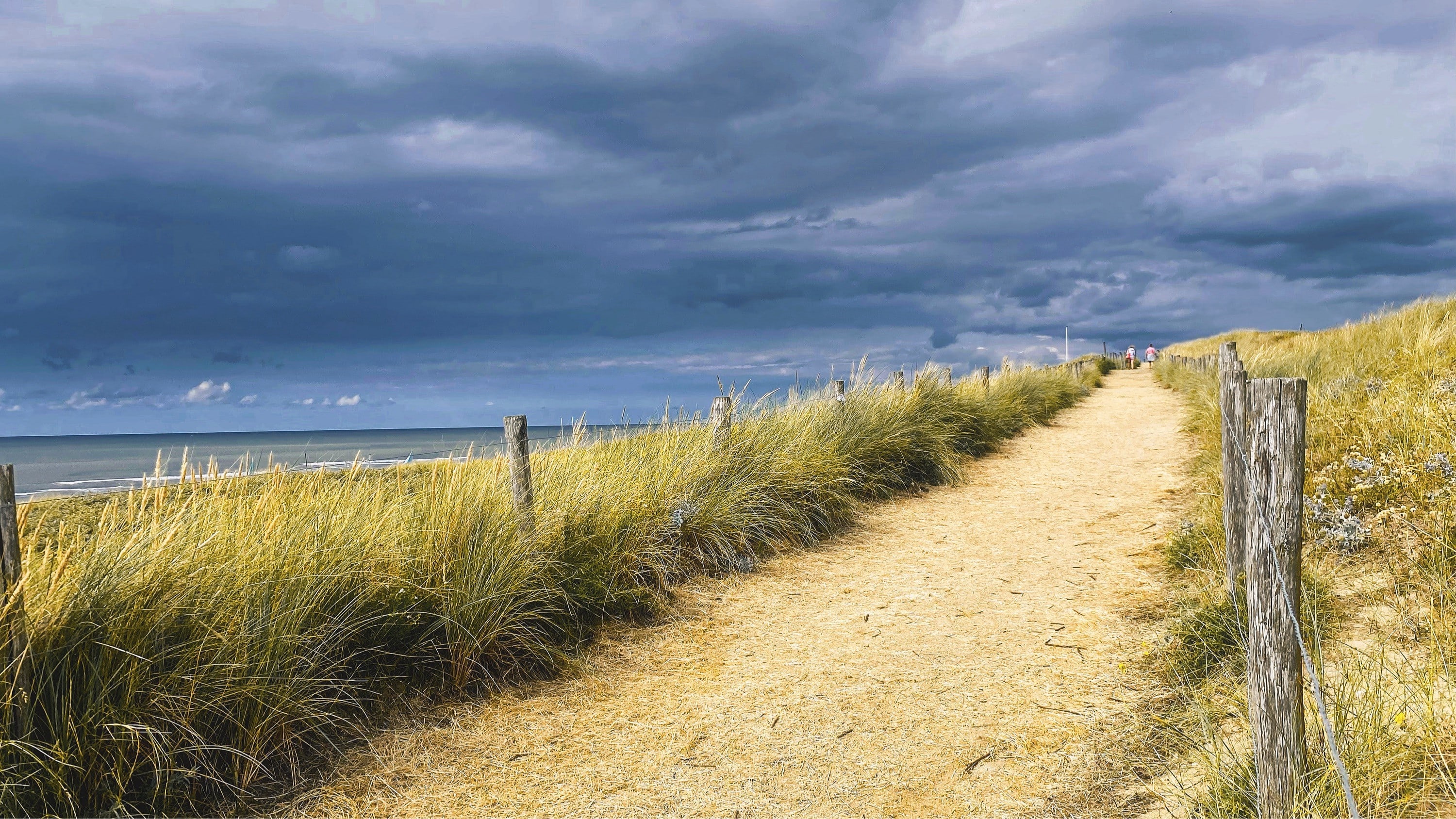 Zomerwarmte maakt plaats voor koeler en wisselvalliger weer