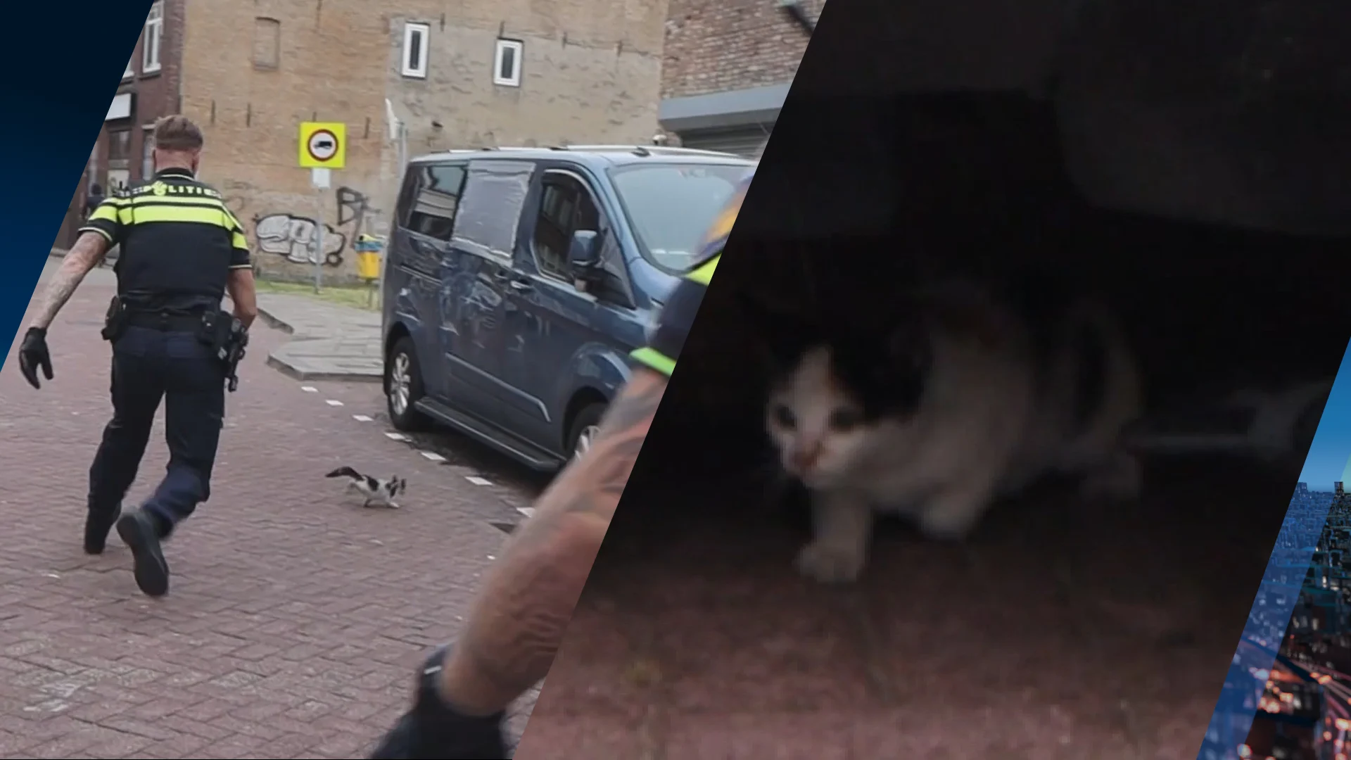 Verstopt katje in Schiedam zet hulpdiensten urenlang aan het werk