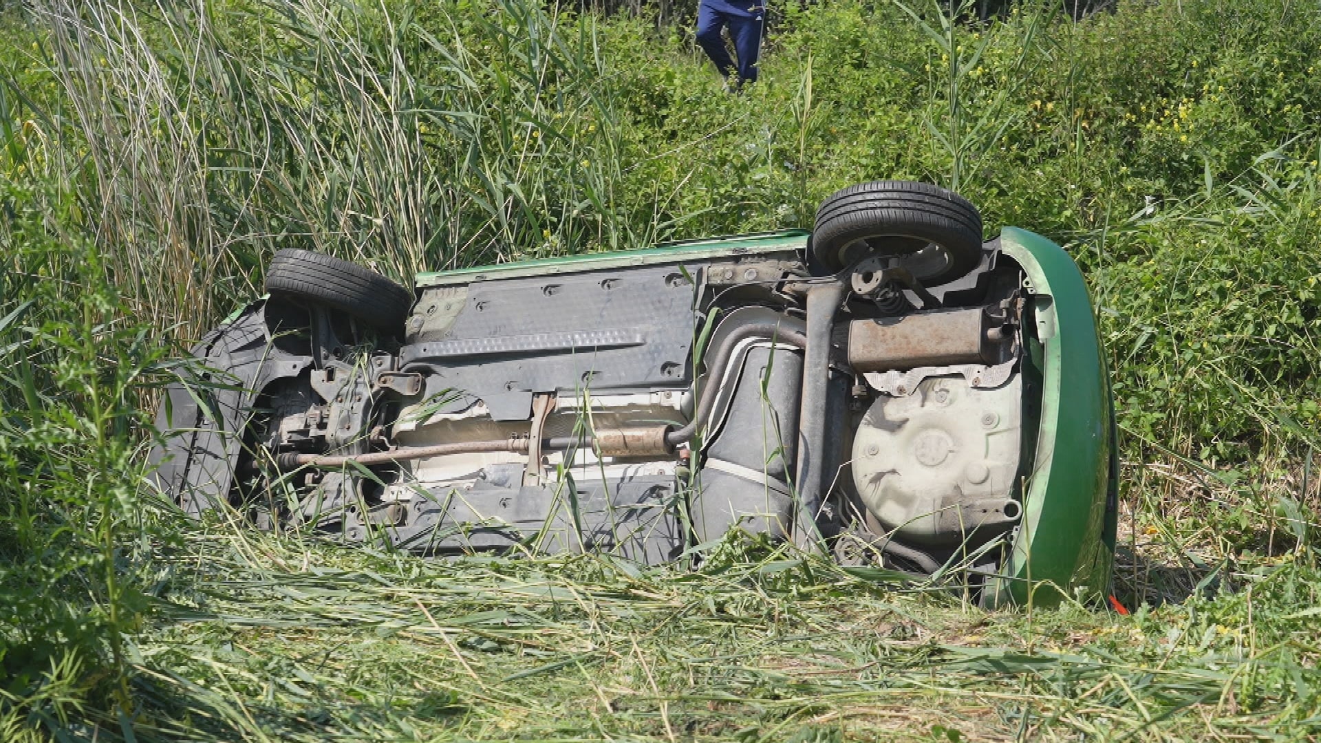 Auto vliegt van A59 na verkeersruzie, bestuurder gewond en ree doodgereden