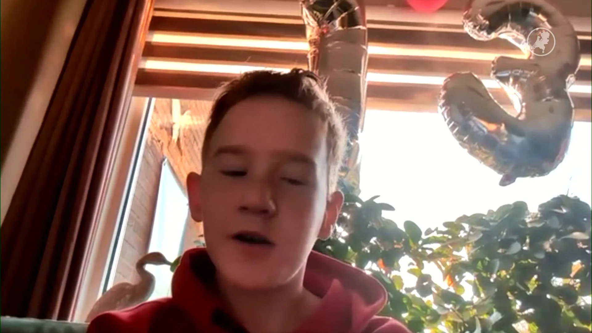 Bob (13) vindt bom uit WOII in Schiedam tijdens het uitlaten hond