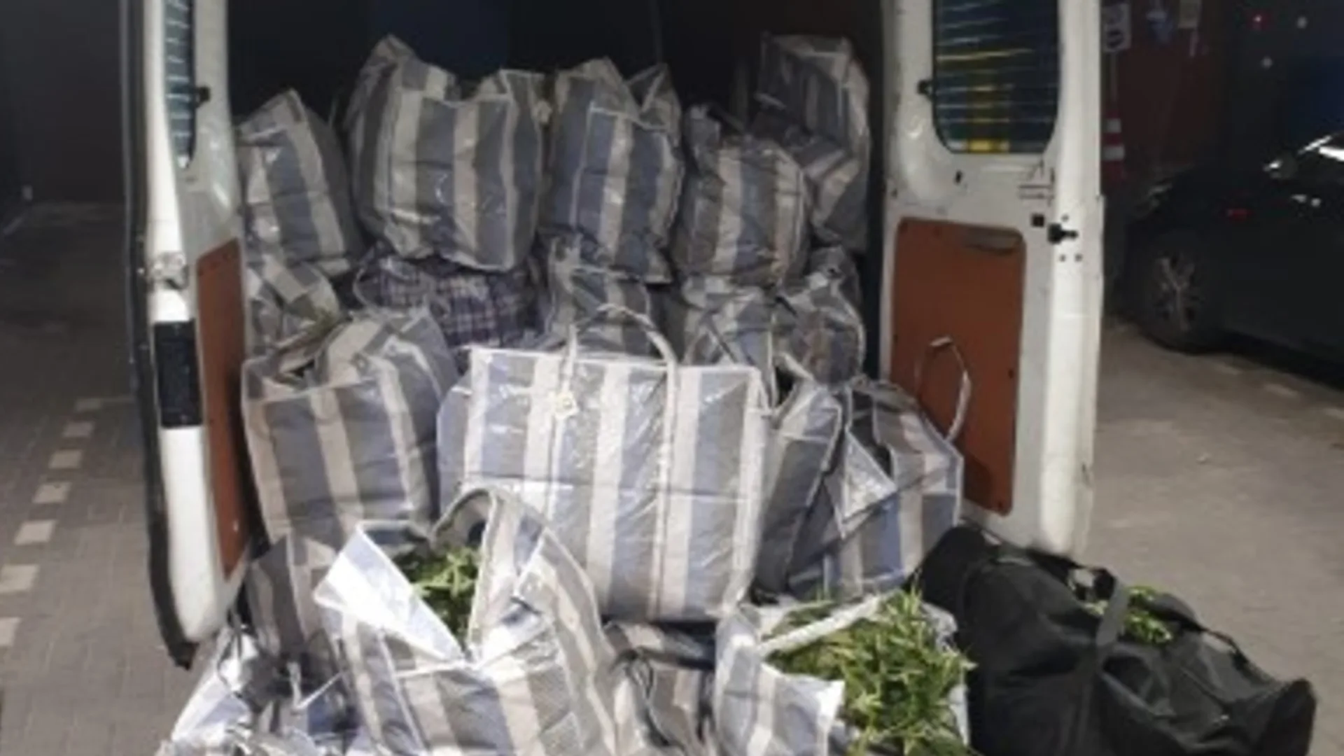 Hennepspoor leidt agenten naar verdachten in Sint Willebrord