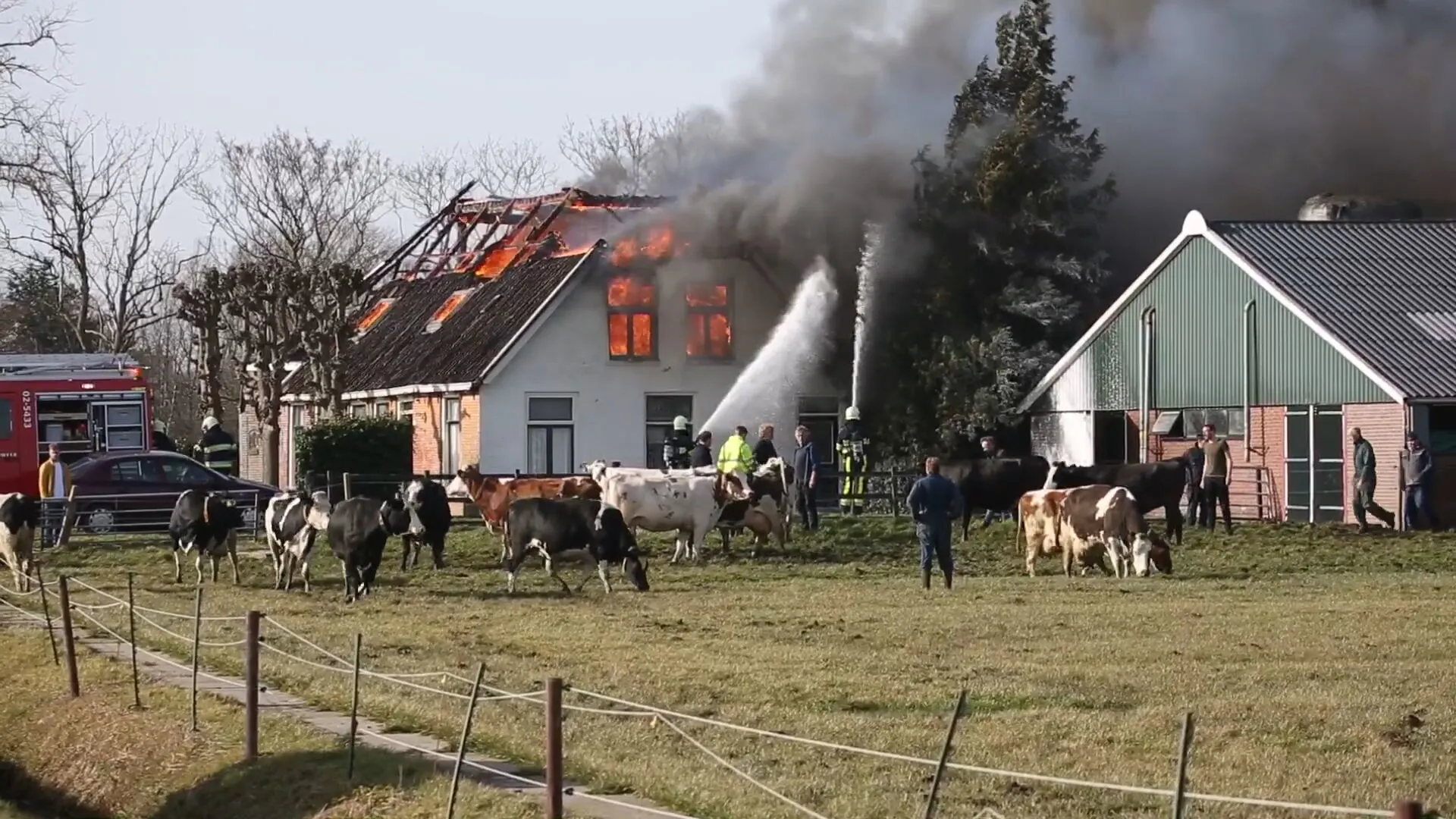 Felle brand legt boerderij in Tjerkgaast grotendeels in de as