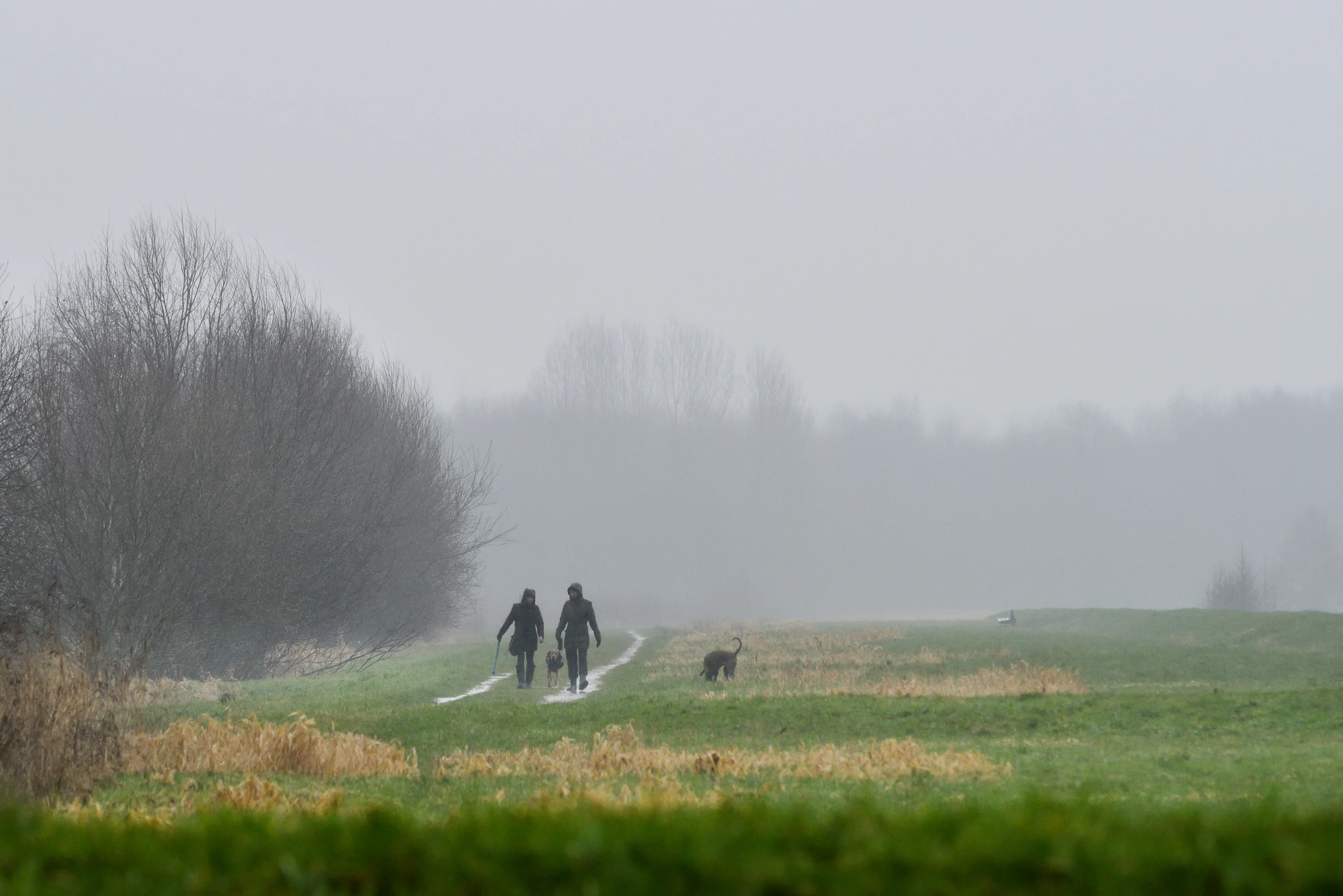 Winterweer keert terug: schaatsliefhebbers kunnen voorzichtig hopen