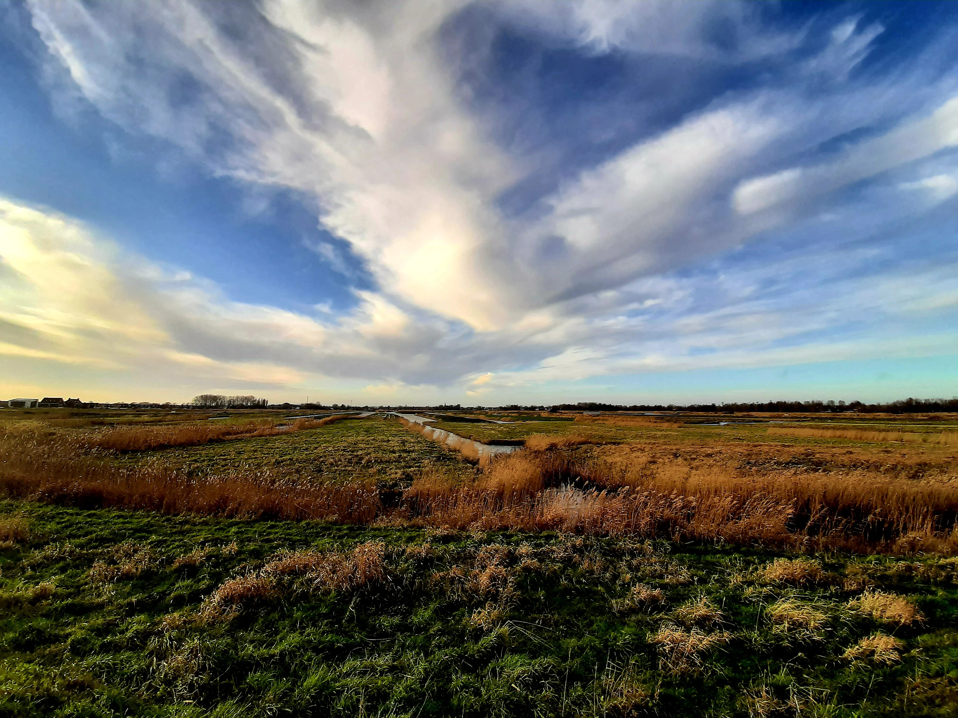 De winter keert terug: minder zacht en meer buien
