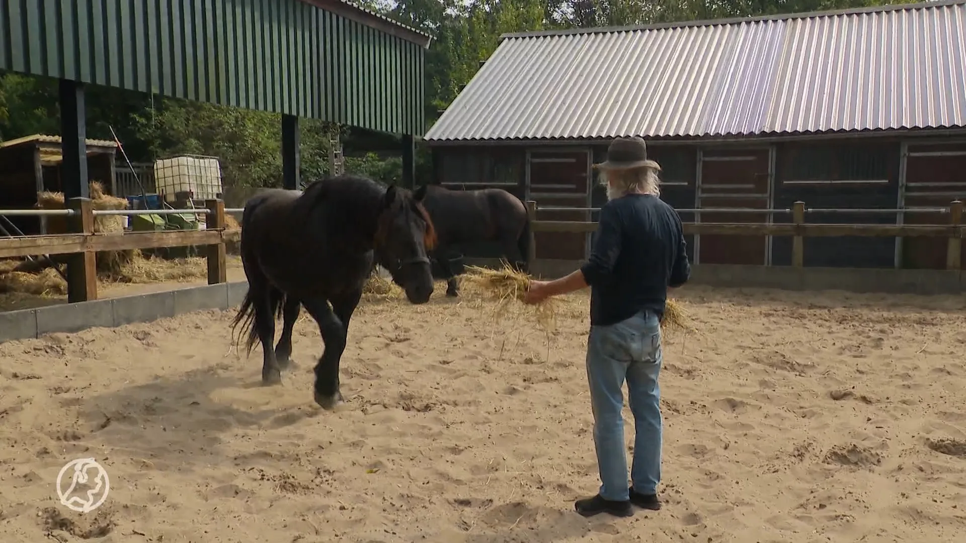 Toon in tranen om afgebrande paardenwagen: 'Groot gemis'