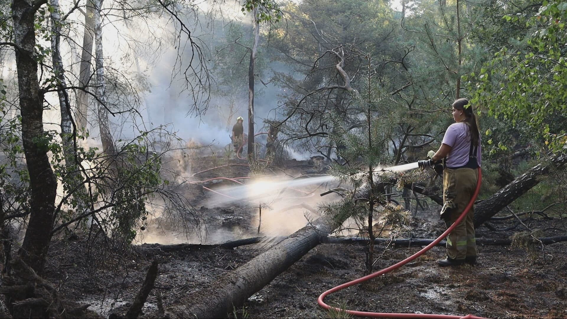 Natuurbrand Herperduin onder controle, brandweer blijft nablussen