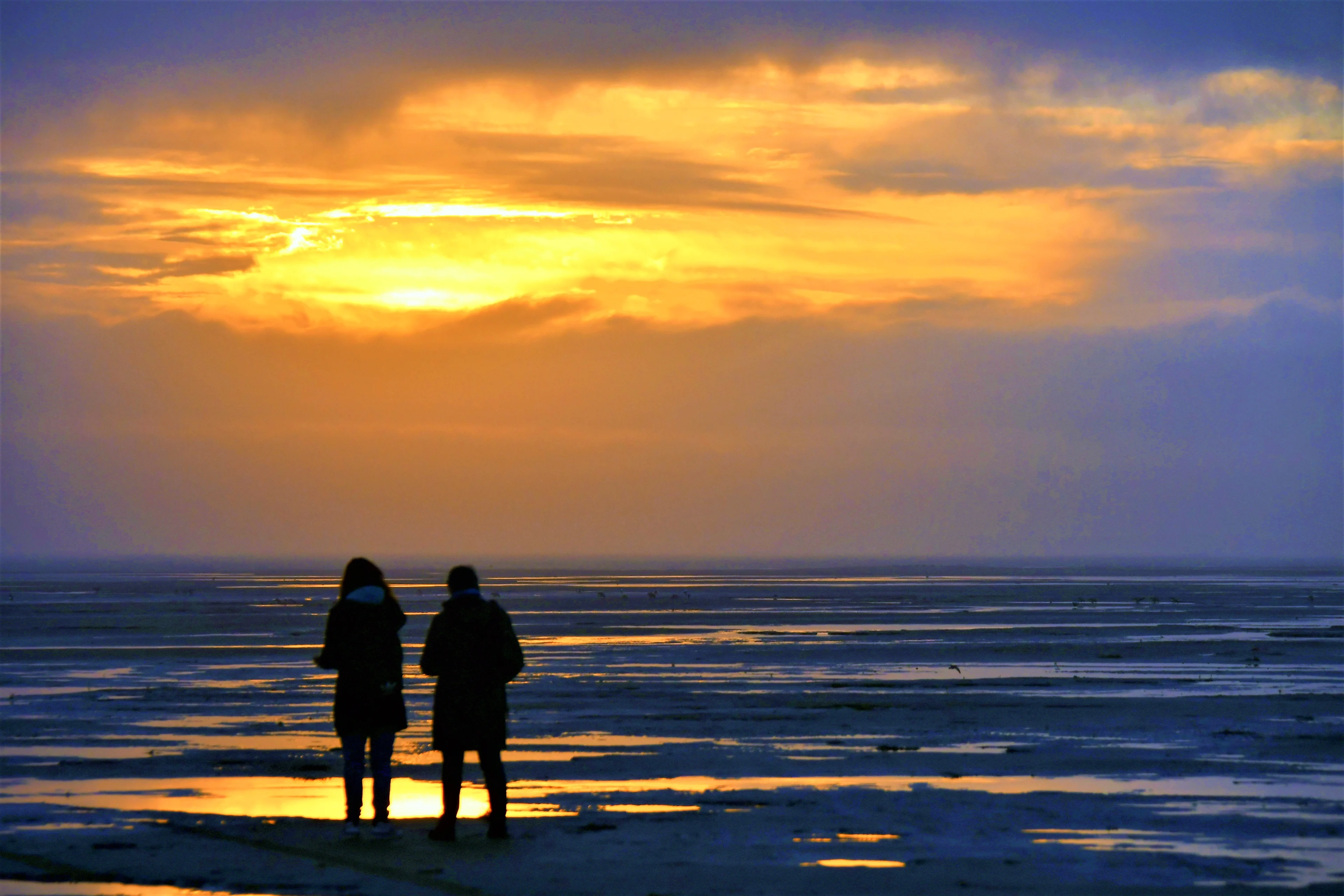 Weer nog niet in winterstemming: op naar een groene en zachte kerst
