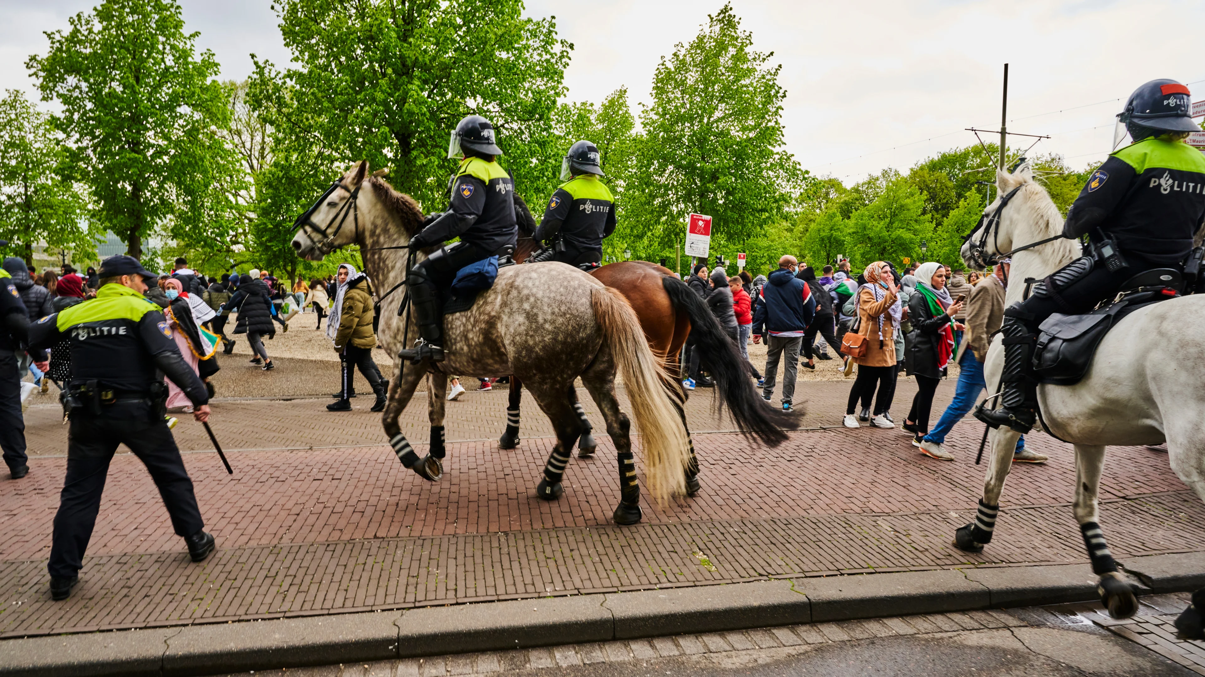 Politie getaserd en met stenen bekogeld bij pro-Palestijnse demonstratie in Den Haag
