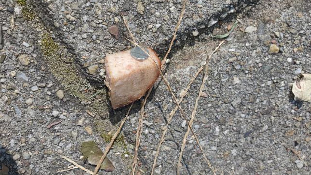 Politie waarschuwt hondenbezitters voor stukjes worst met spijkers erin