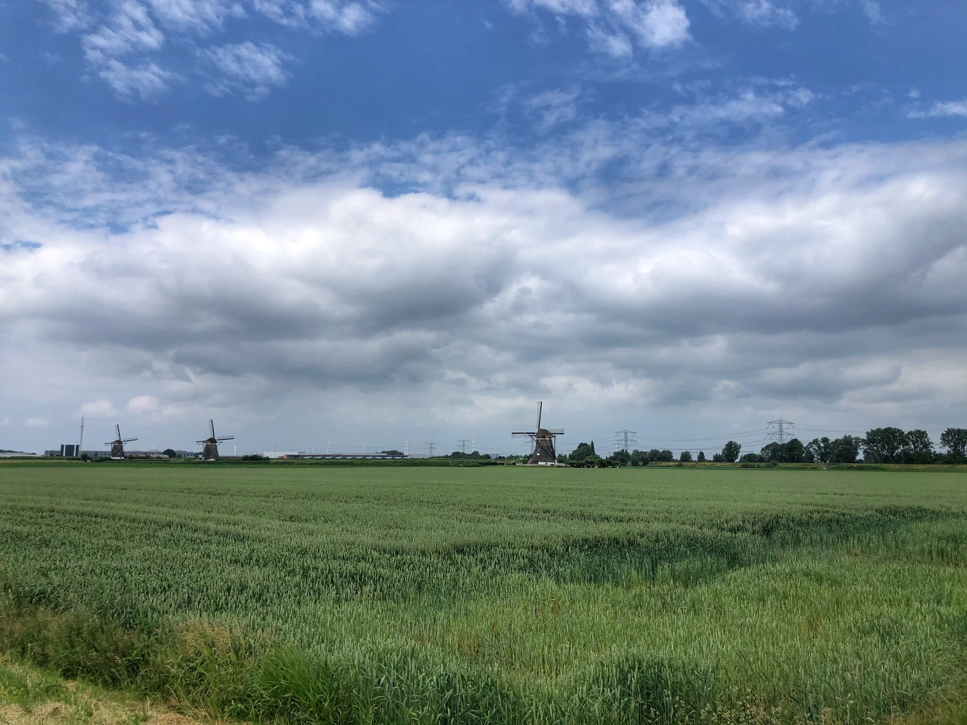 Nog even wat koeler, volgende week komt zomerweer terug