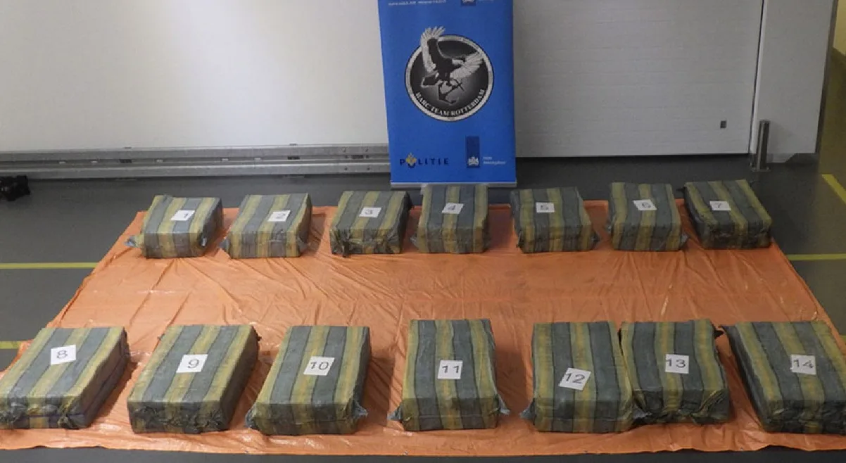 Douane vindt 1100 kilo coke tussen bananen, straatwaarde 82 miljoen euro