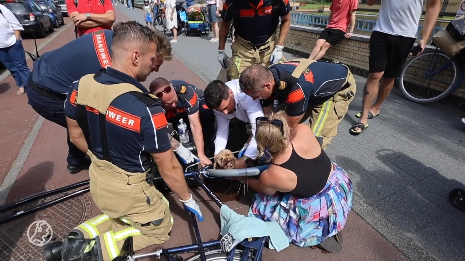 Hond komt vast te zitten tussen frame en spaken van fiets