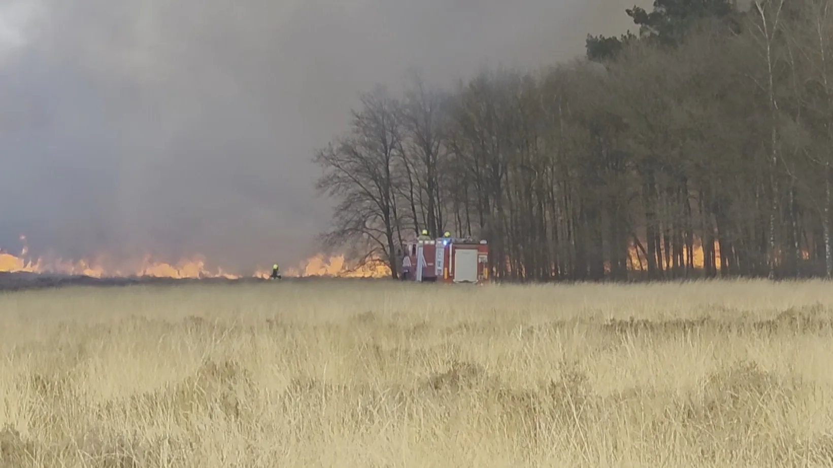 Grote natuurbrand bij Ede, vuur verspreidt zich snel