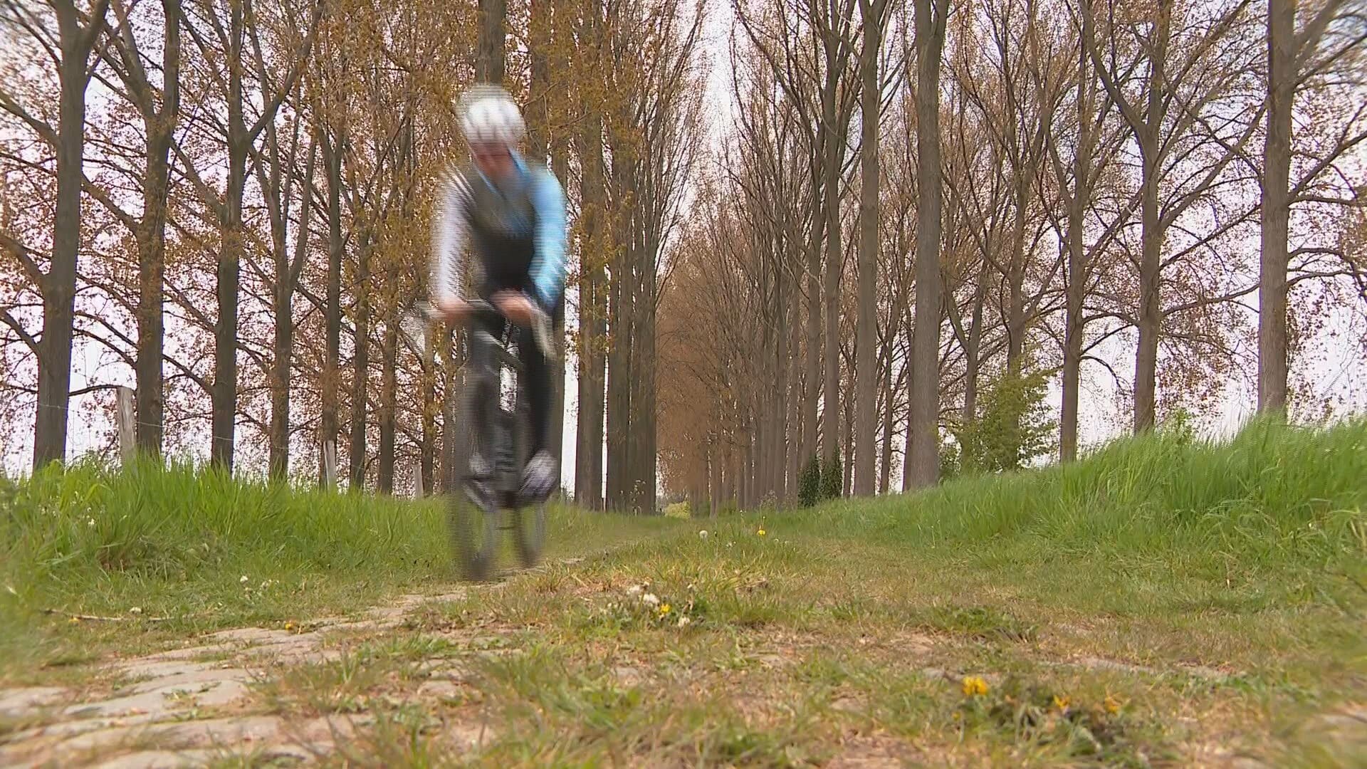 Zeeuwse wielrenners willen overwoekerde kasseienweg redden: 'Het is een verborgen juweeltje'