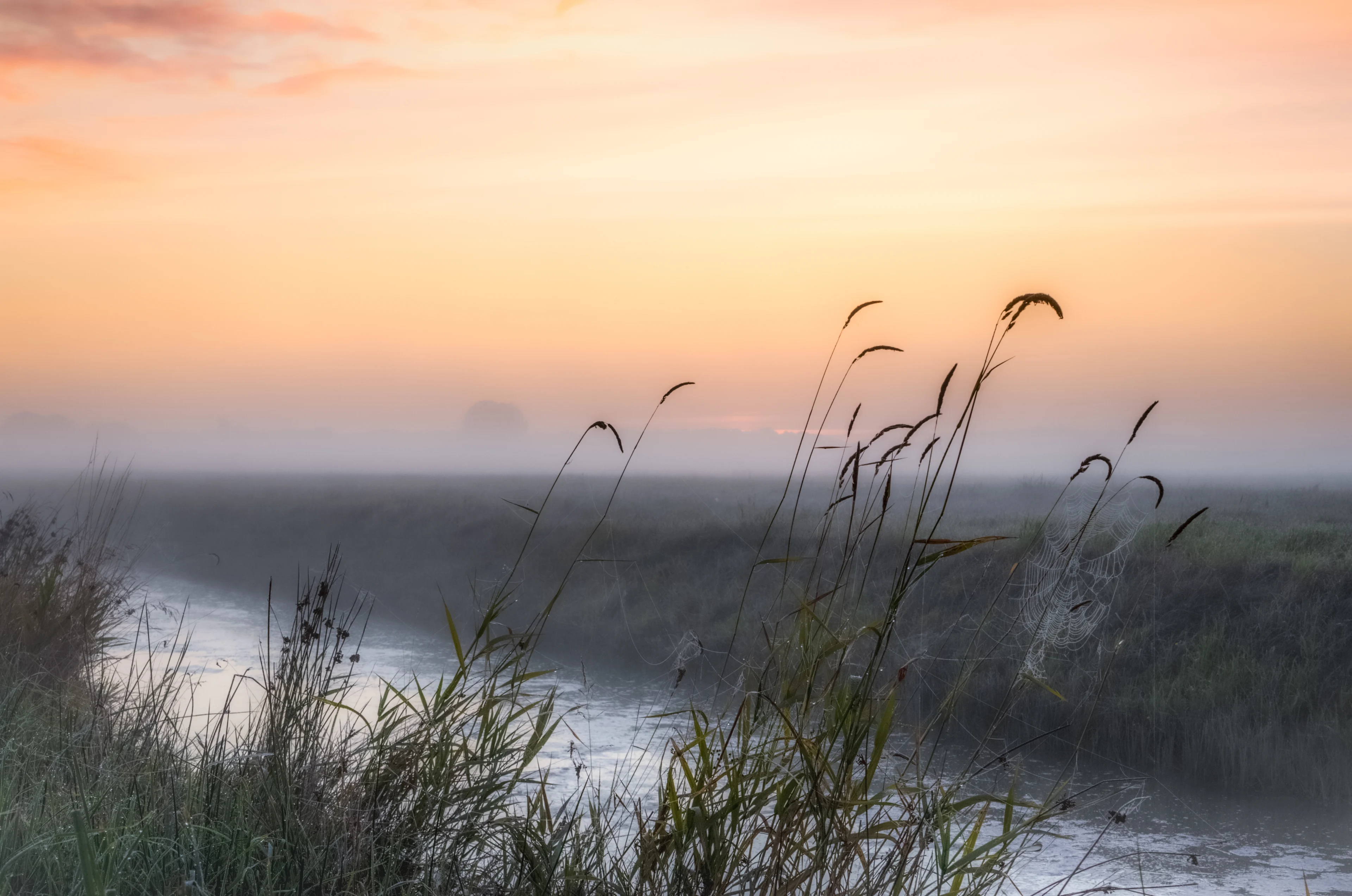Vandaag nog onder zomerse grens, volgende week weer richting de 30 graden