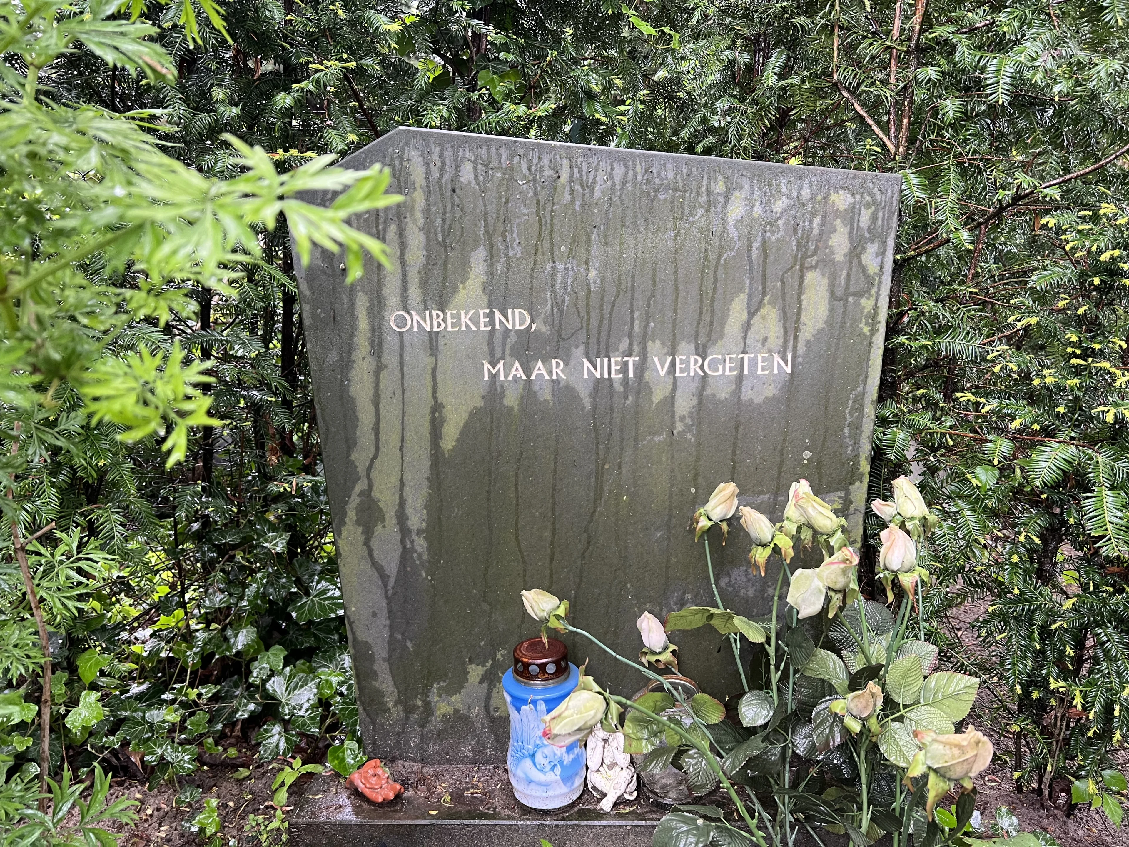 Marianne zocht 20 jaar naar haar broer: 'Ze konden hem niet identificeren'