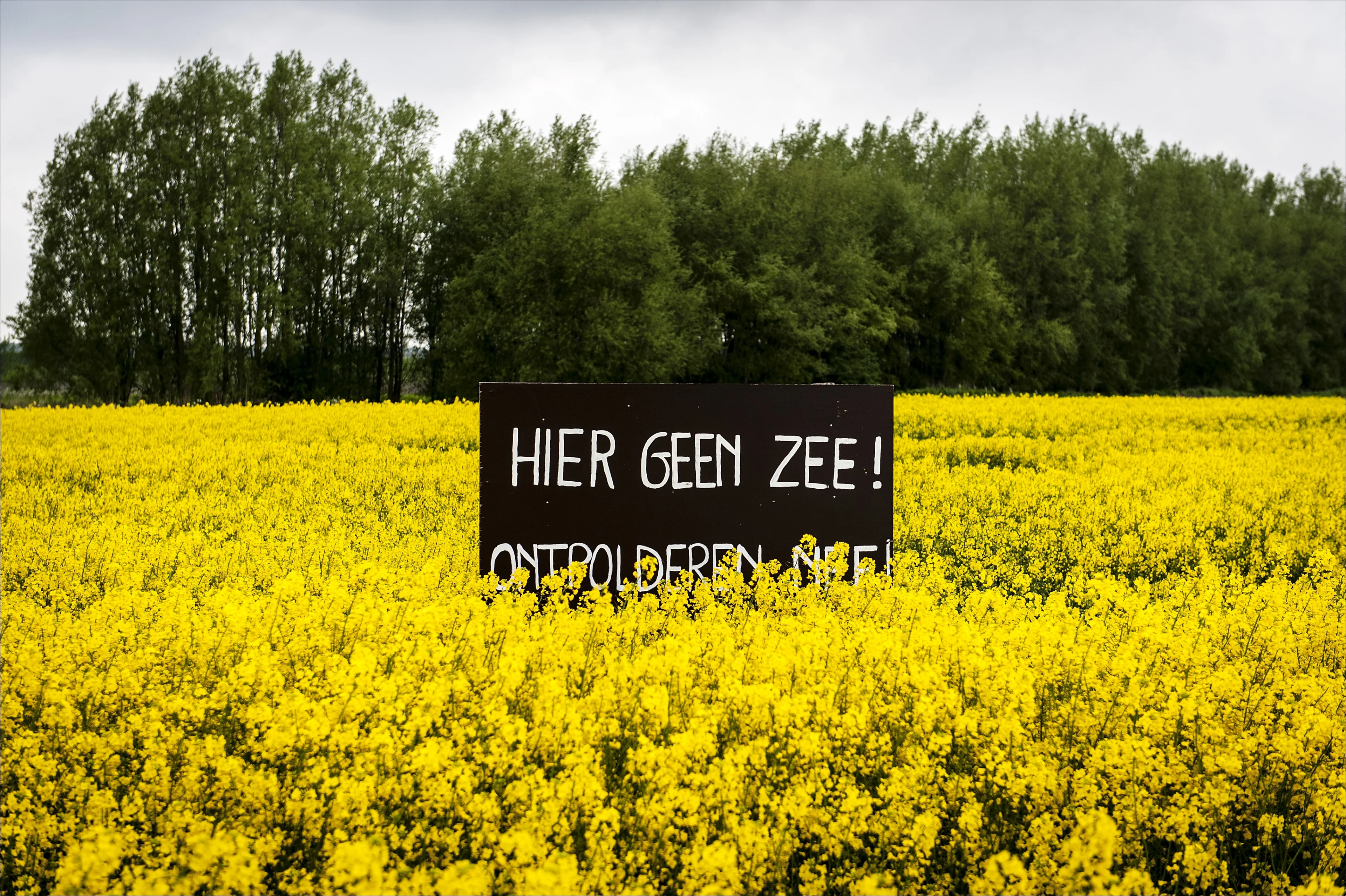 Zeeuws verdriet: De Hedwigepolder komt weer onder water te staan