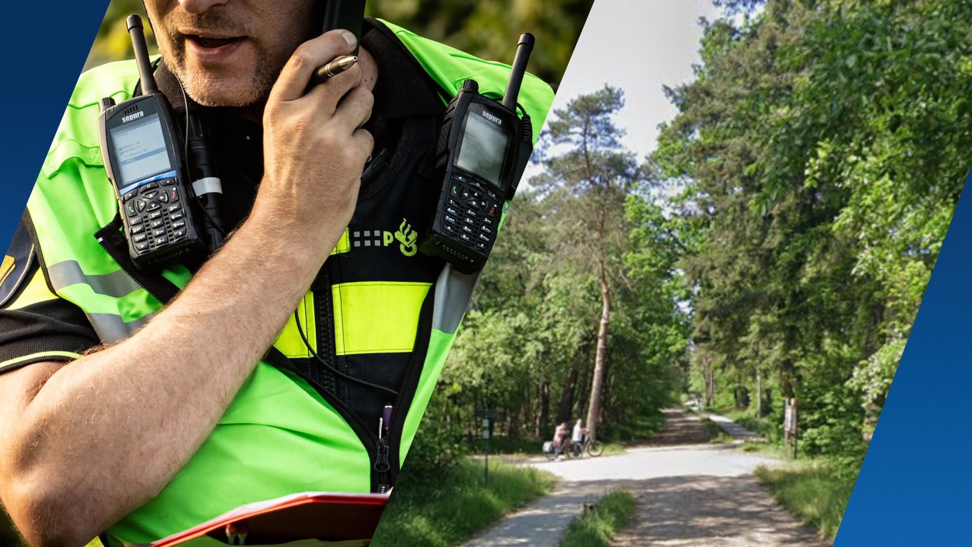 Vrouw die hond uitlaat slachtoffer van zedendelict in Holten