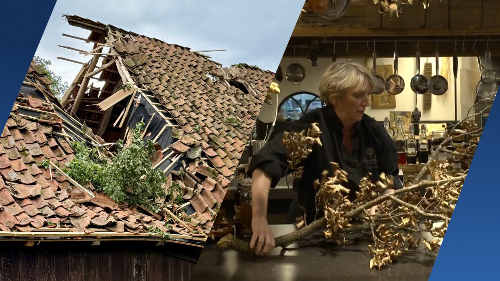 Nel’s erf verwoest door storm Winterswijk, nu eet ze omgevallen boom op