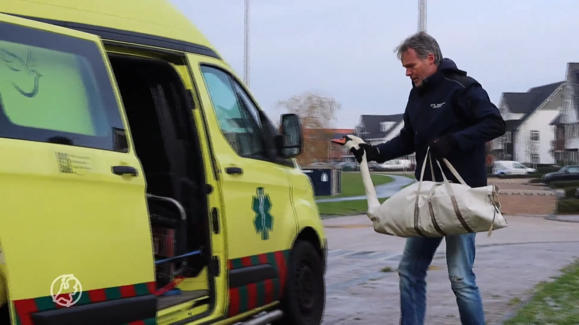 Na urenlange reddingsoperatie is gewonde zwaan in Noordwijkerhout toch gered