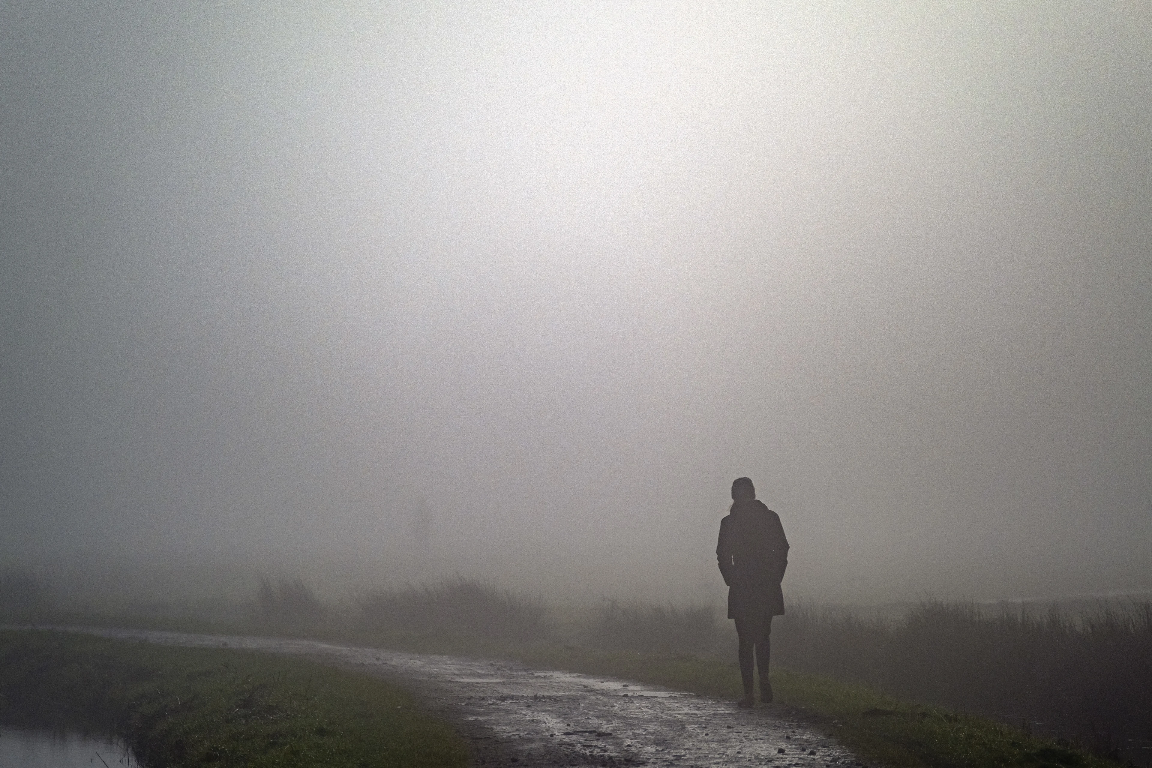 KNMI waarschuwt voor dichte mist in westen van het land