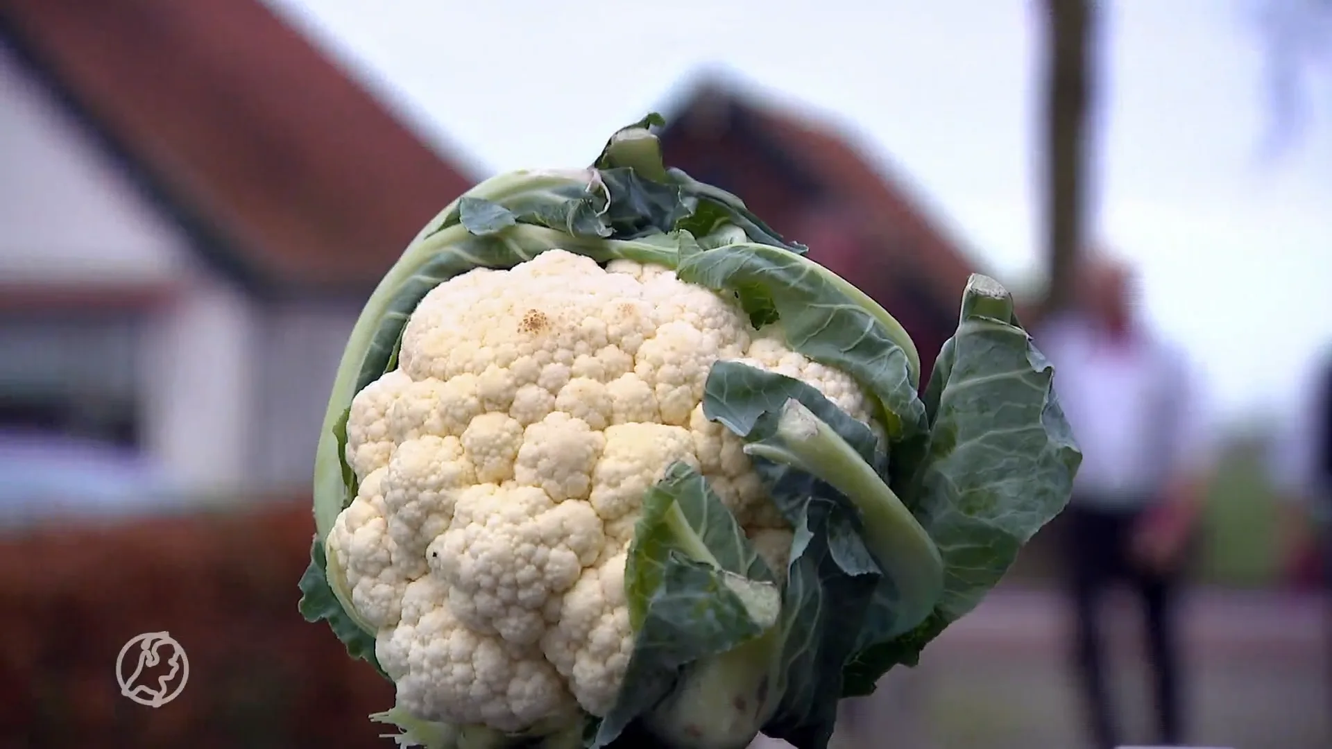 West-Friese band enorm 'groôs' om notering in Top 2000