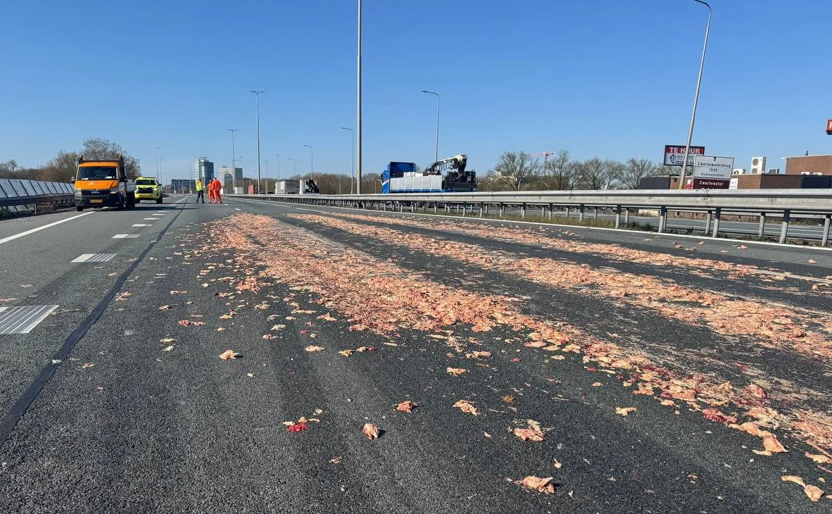 Smerige verrassing op A28 bij Zwolle: weg bezaaid met slachtafval
