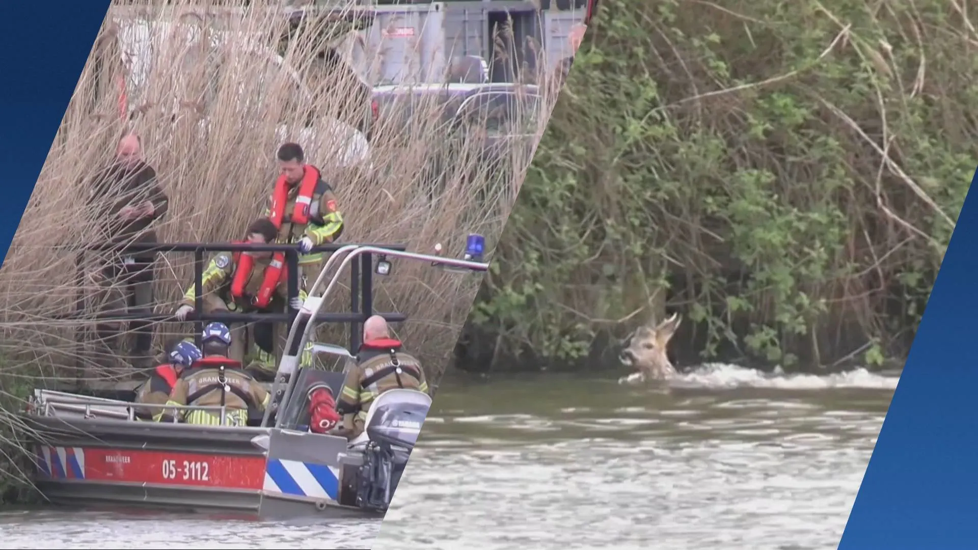 Brandweer redt ree uit Twentekanaal bij Hengelo 