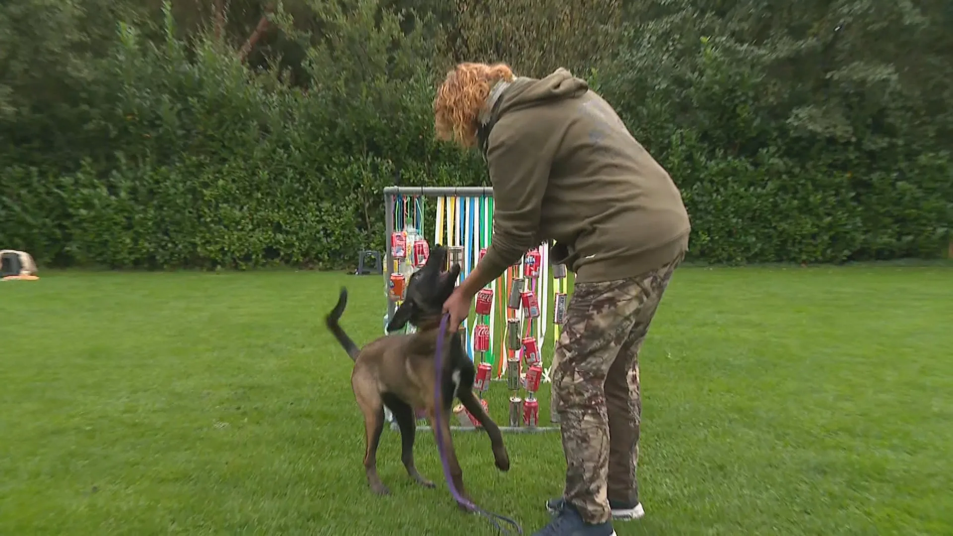 Dit moet je doen als een hond agressief wordt: 'Haal 'm uit balans'