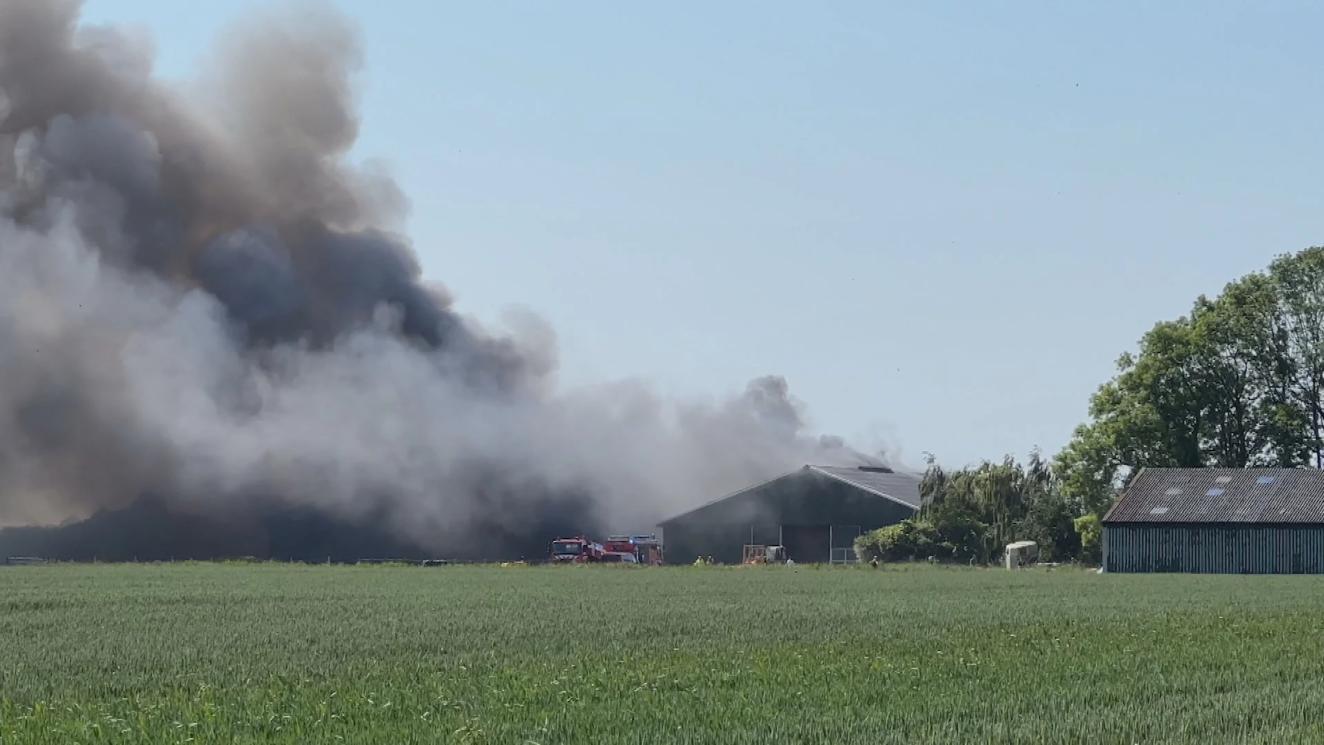 Honderden biggetjes en zeugen omgekomen bij brand in varkensstal Groningse Beerta