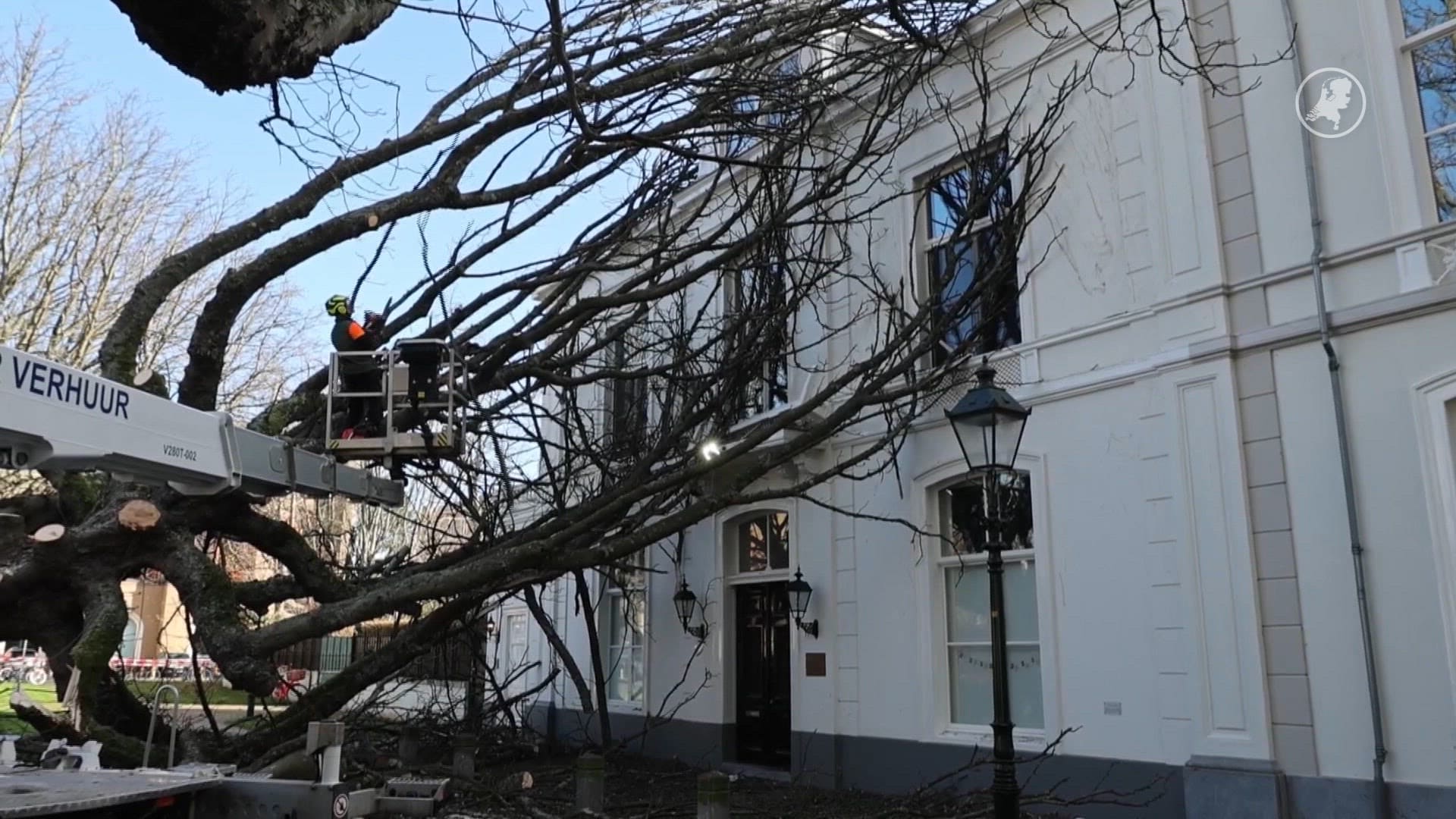 Boom valt om op woning