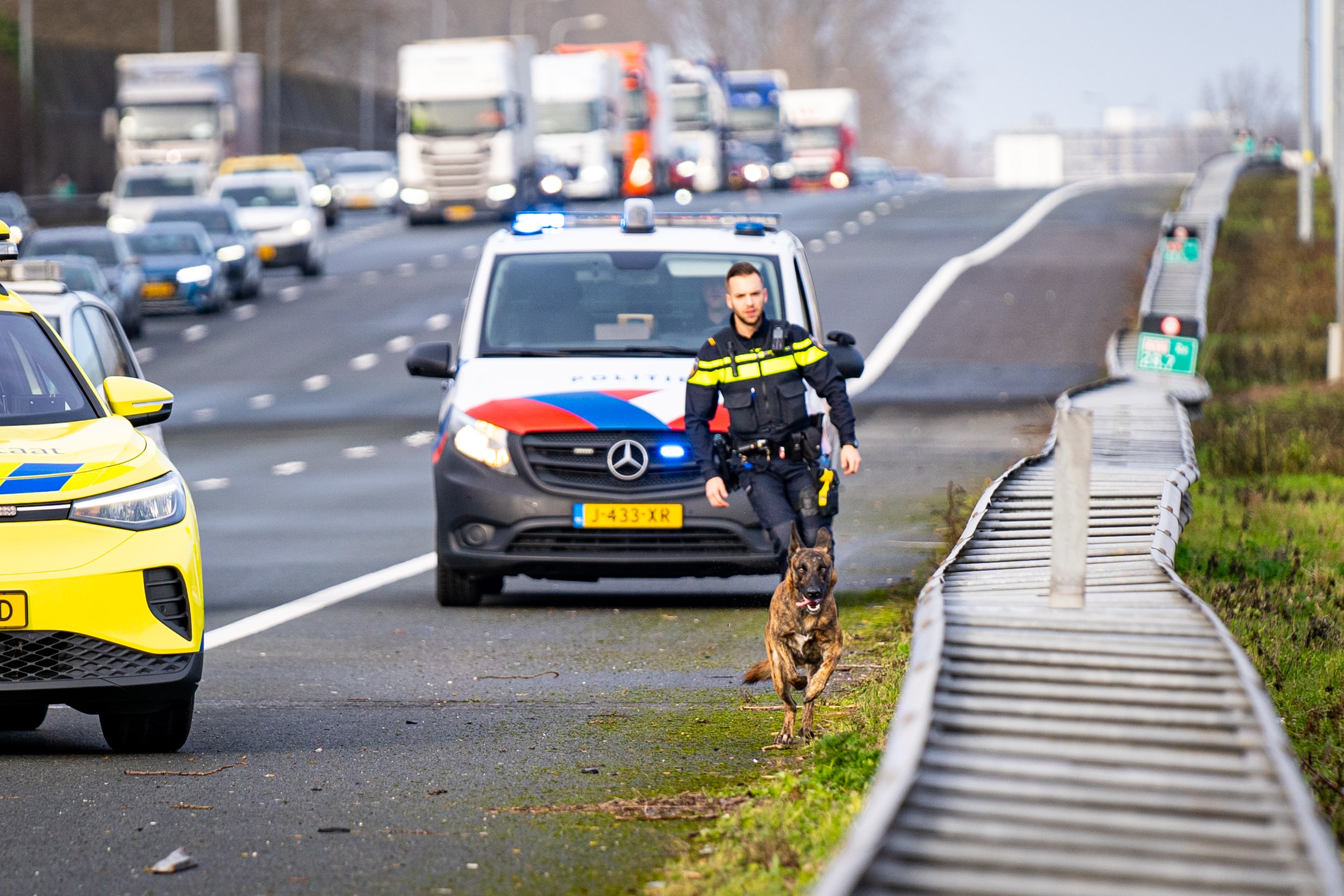 Ontsnapte hond raast kilometers lang kriskras over snelweg