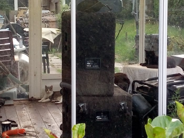 Dierenbescherming vindt 18 zwaar verwaarloosde katten in vakantiewoning