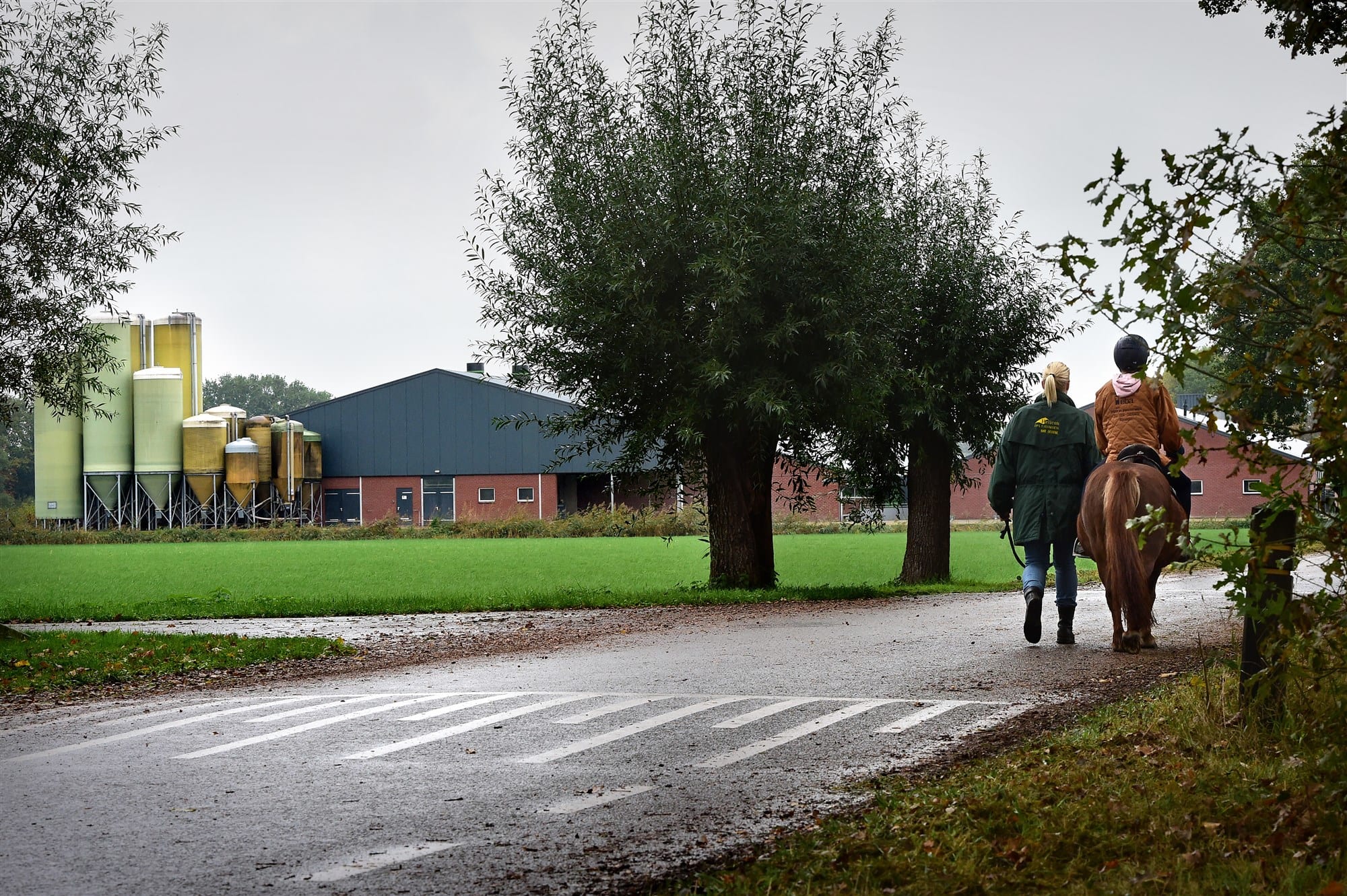 Burgers slepen overheid voor de rechter om stankoverlast door megastallen