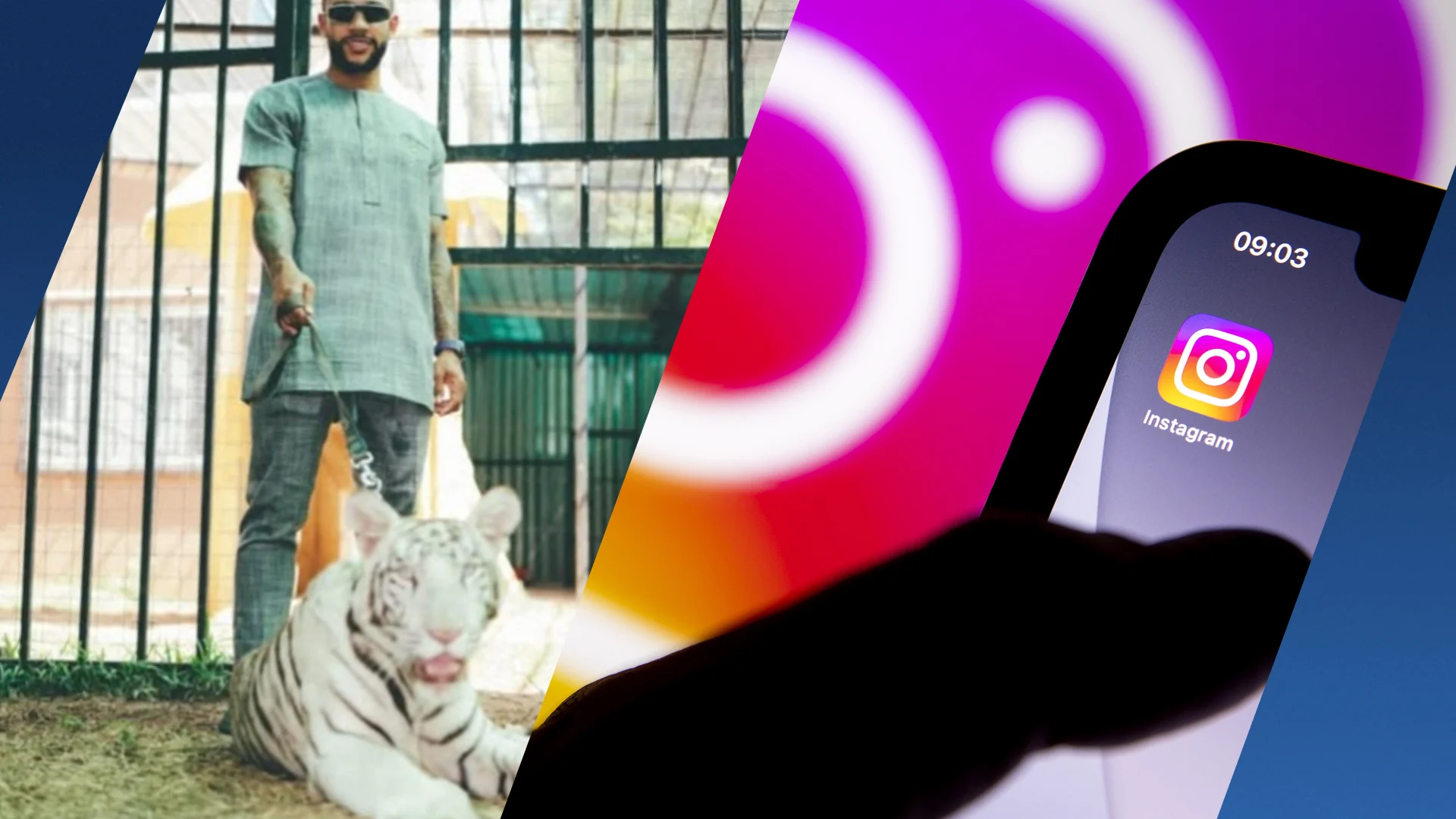 Felle kritiek op voetballer Depay voor foto met witte tijger: 'Sneue stoerdoenerij'