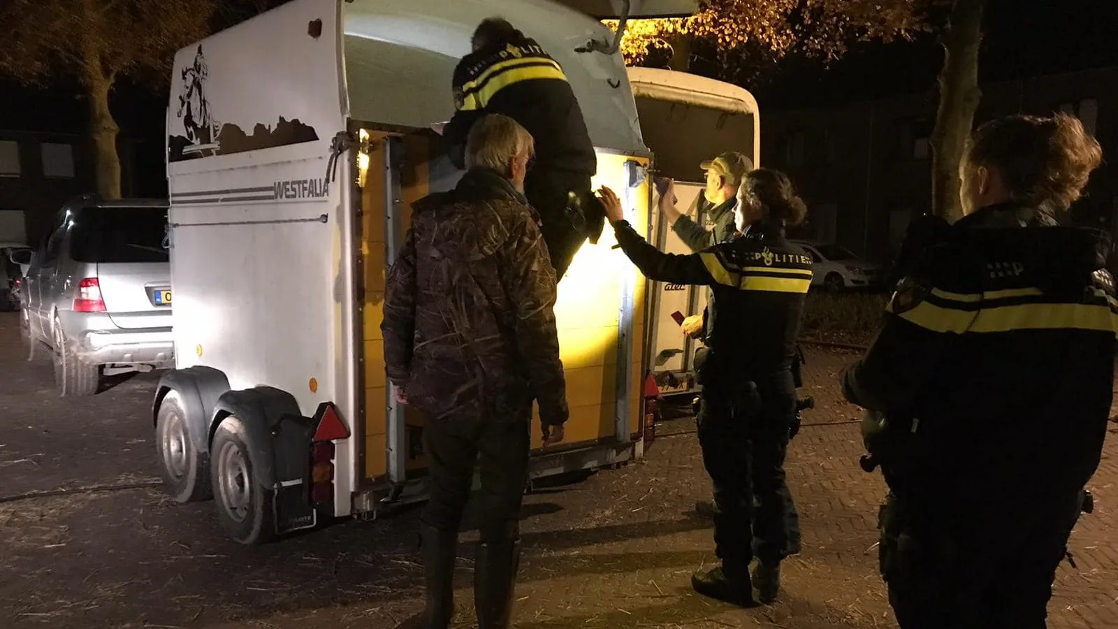 Bert R. mag vijf jaar geen dieren houden na extreme verwaarlozingen